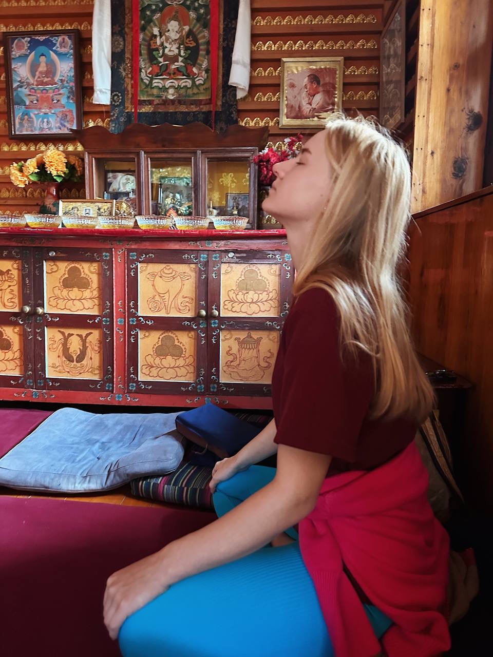 Гималаи. В гостях у Далай-Ламы + места силы Рериха (41/75)