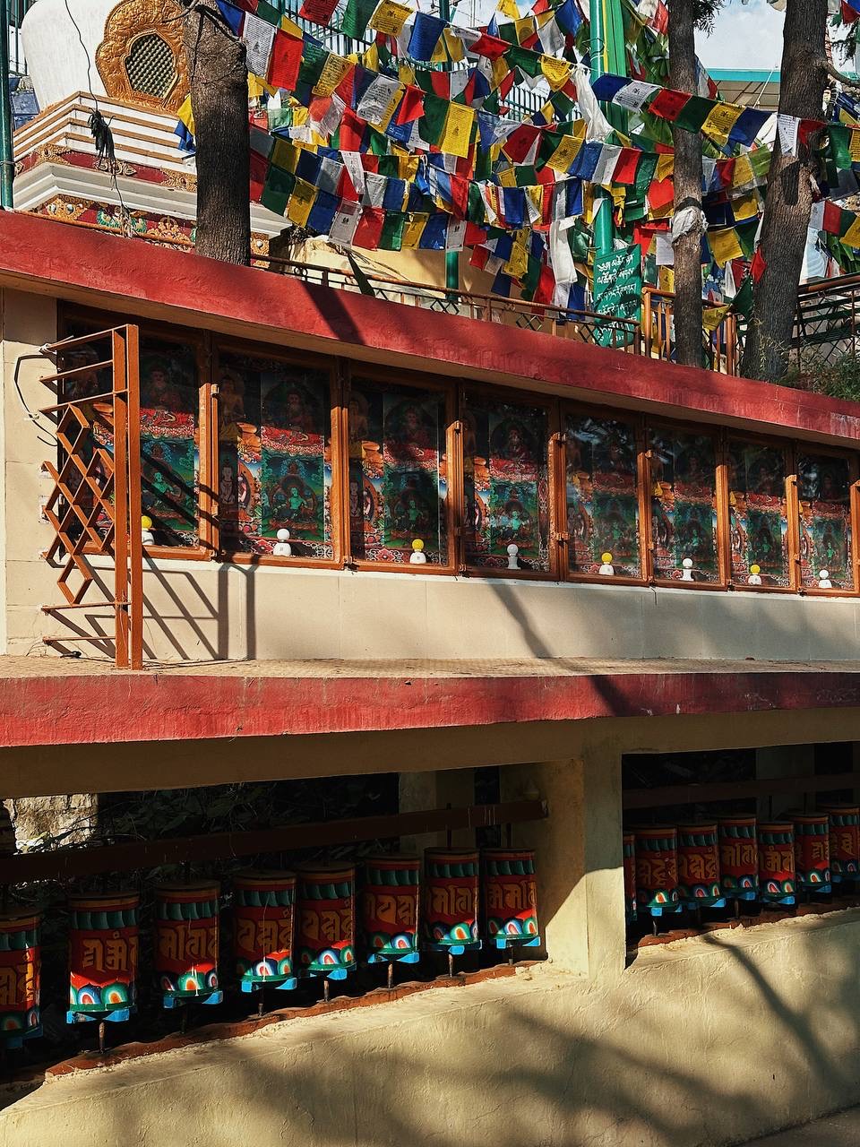 Гималаи. В гостях у Далай-Ламы + места силы Рериха (27/75)