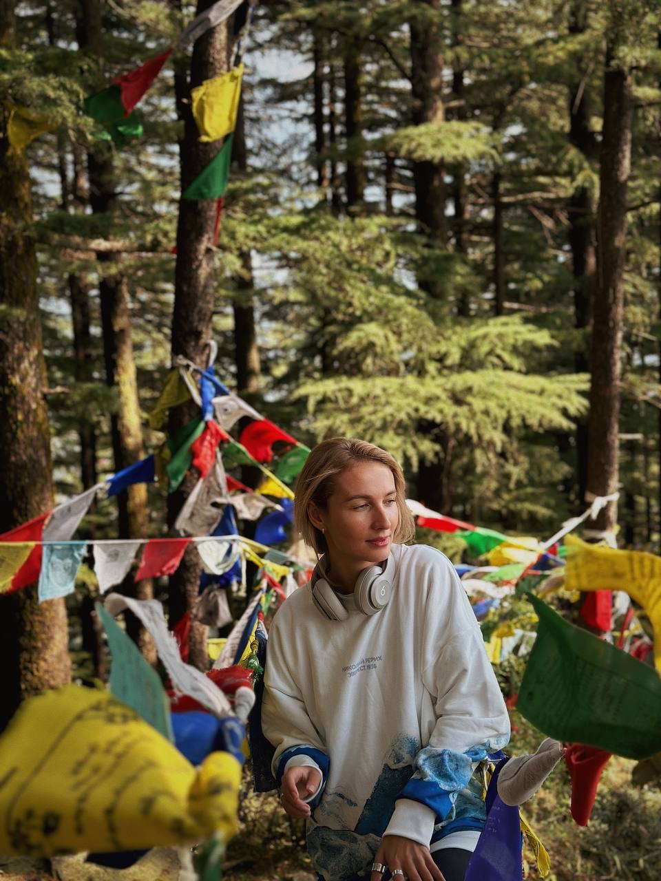 Гималаи. В гостях у Далай-Ламы + места силы Рериха (20/75)