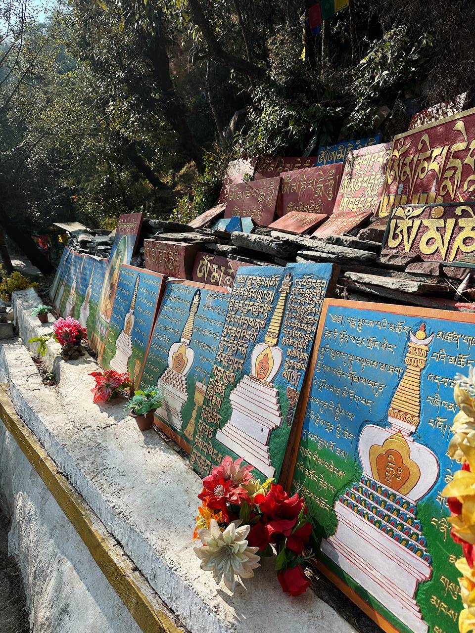 Гималаи. В гостях у Далай-Ламы + места силы Рериха (23/75)