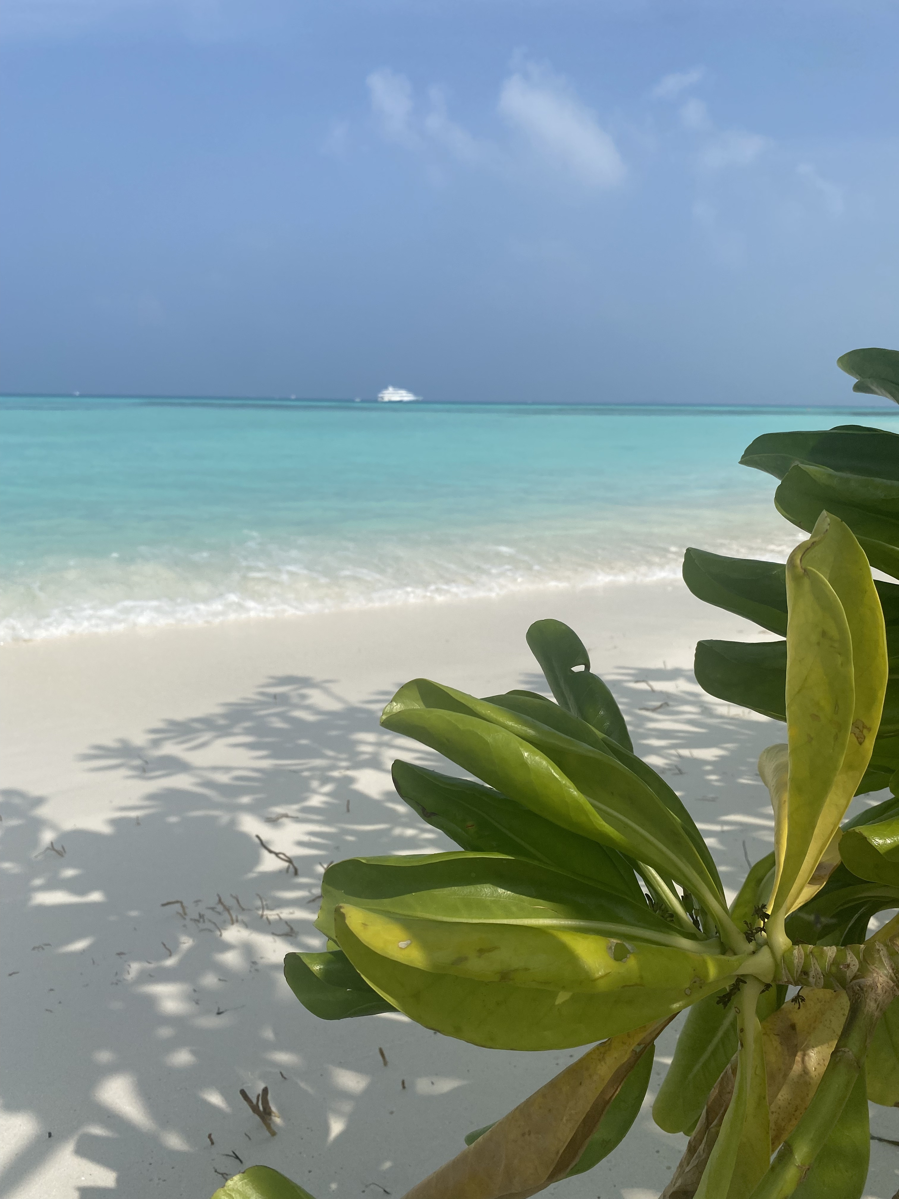 Мальдивы с психологом для обретения душевного равновесия (21/64)