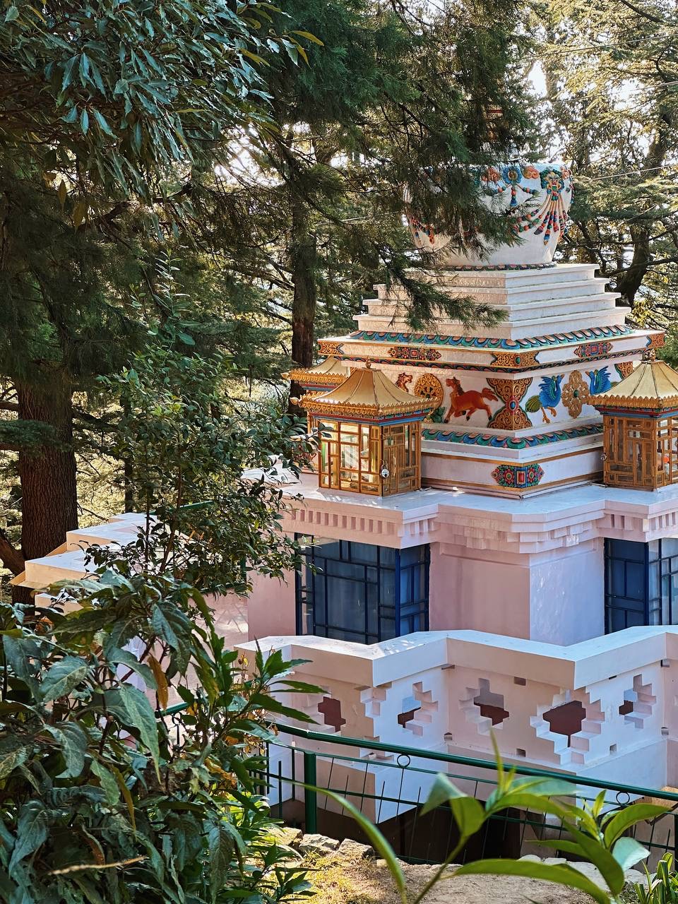 Гималаи. В гостях у Далай-Ламы + места силы Рериха (35/75)