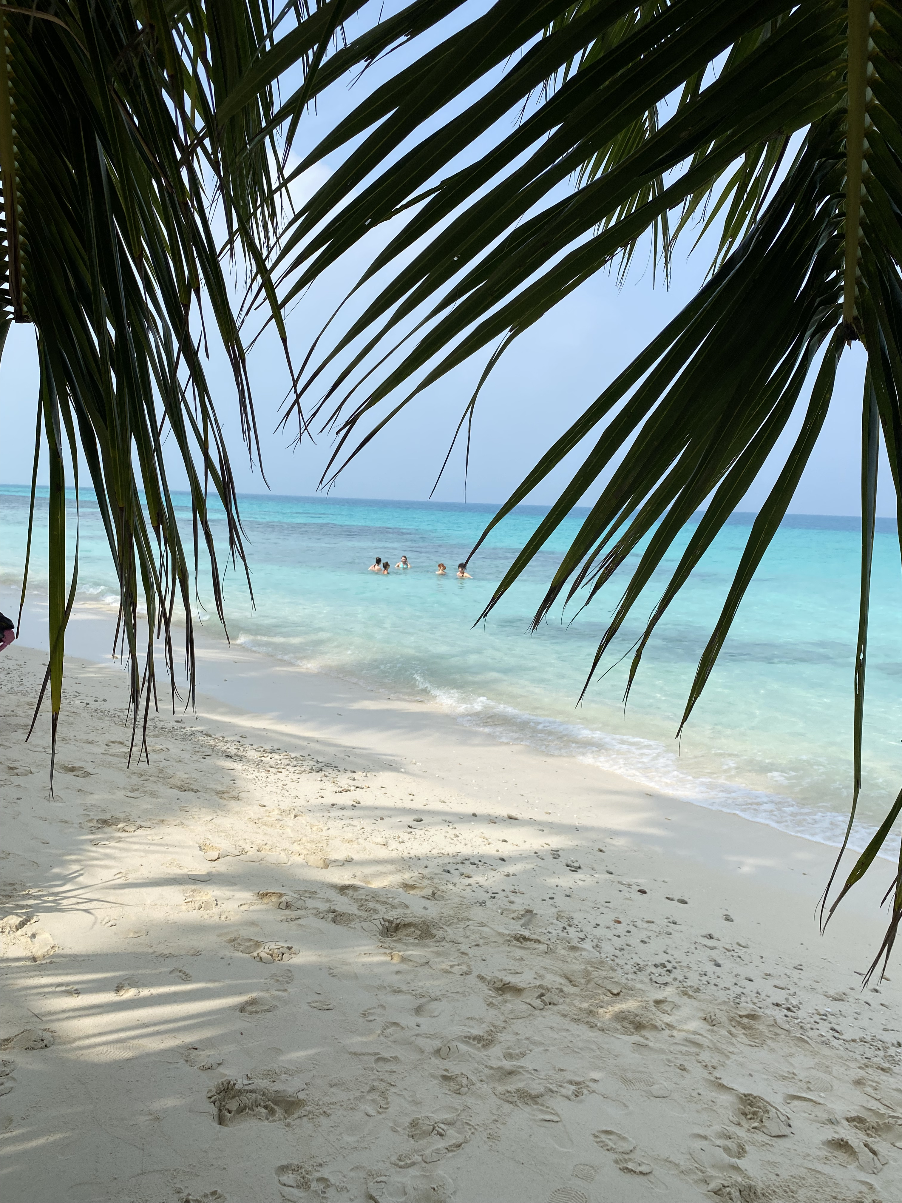 Мальдивы с психологом для обретения душевного равновесия (35/64)