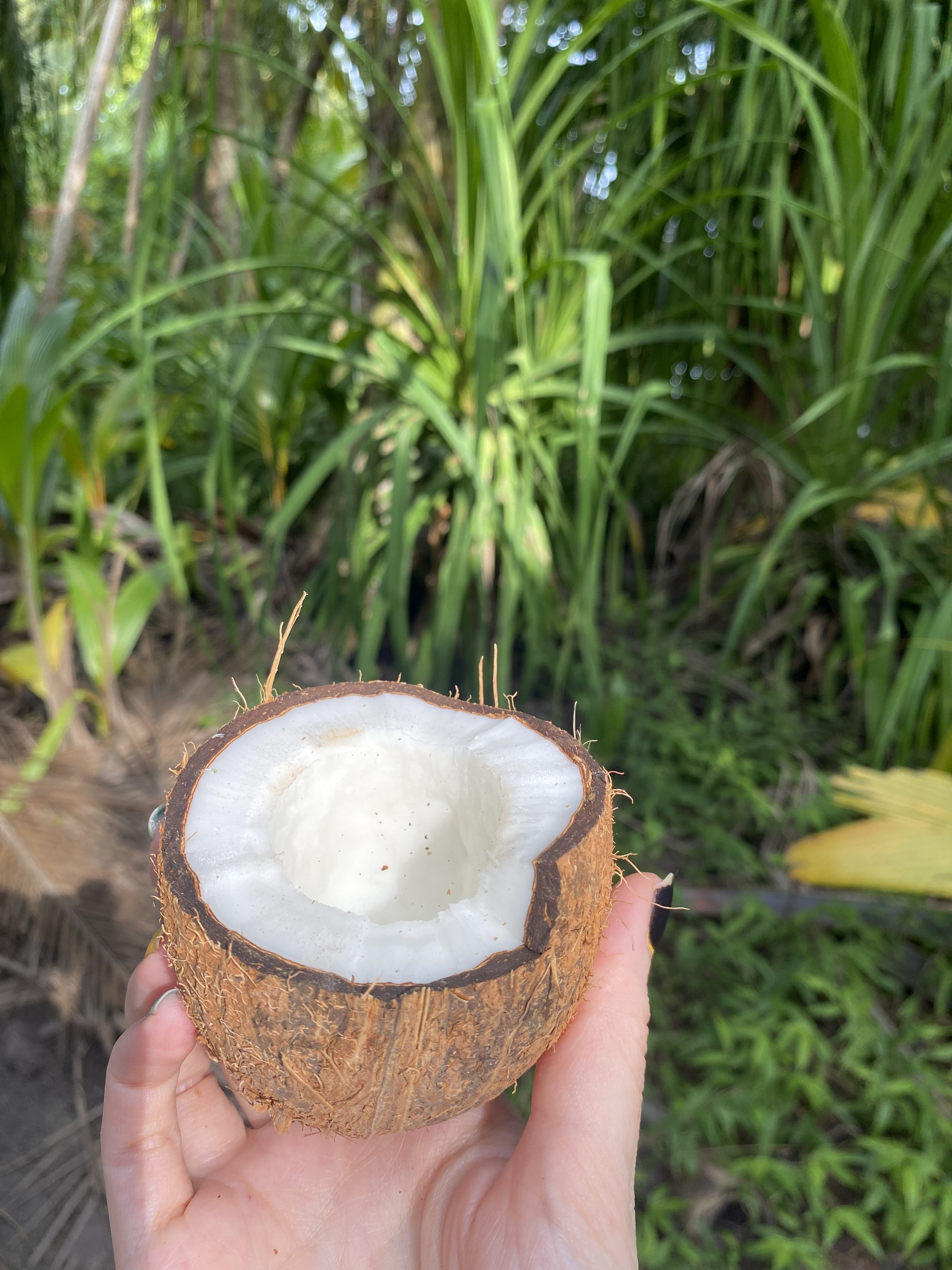 Мальдивы с психологом для обретения душевного равновесия (4/64)