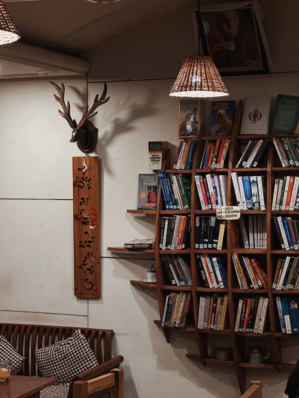 Гималаи. В гостях у Далай-Ламы + места силы Рериха (55/75)