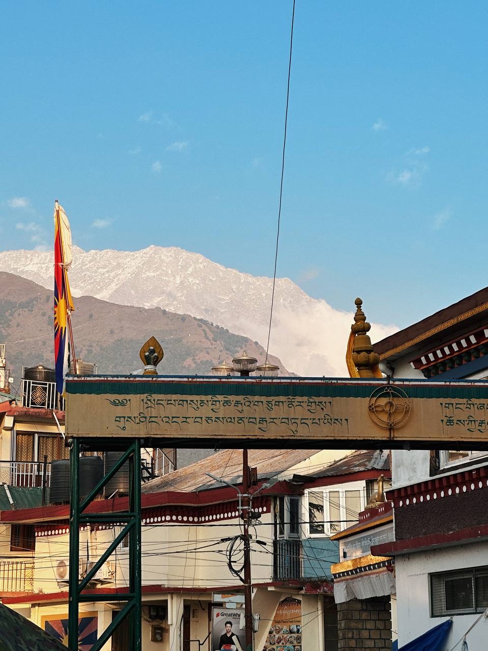 Гималаи. В гостях у Далай-Ламы + места силы Рериха (54/75)