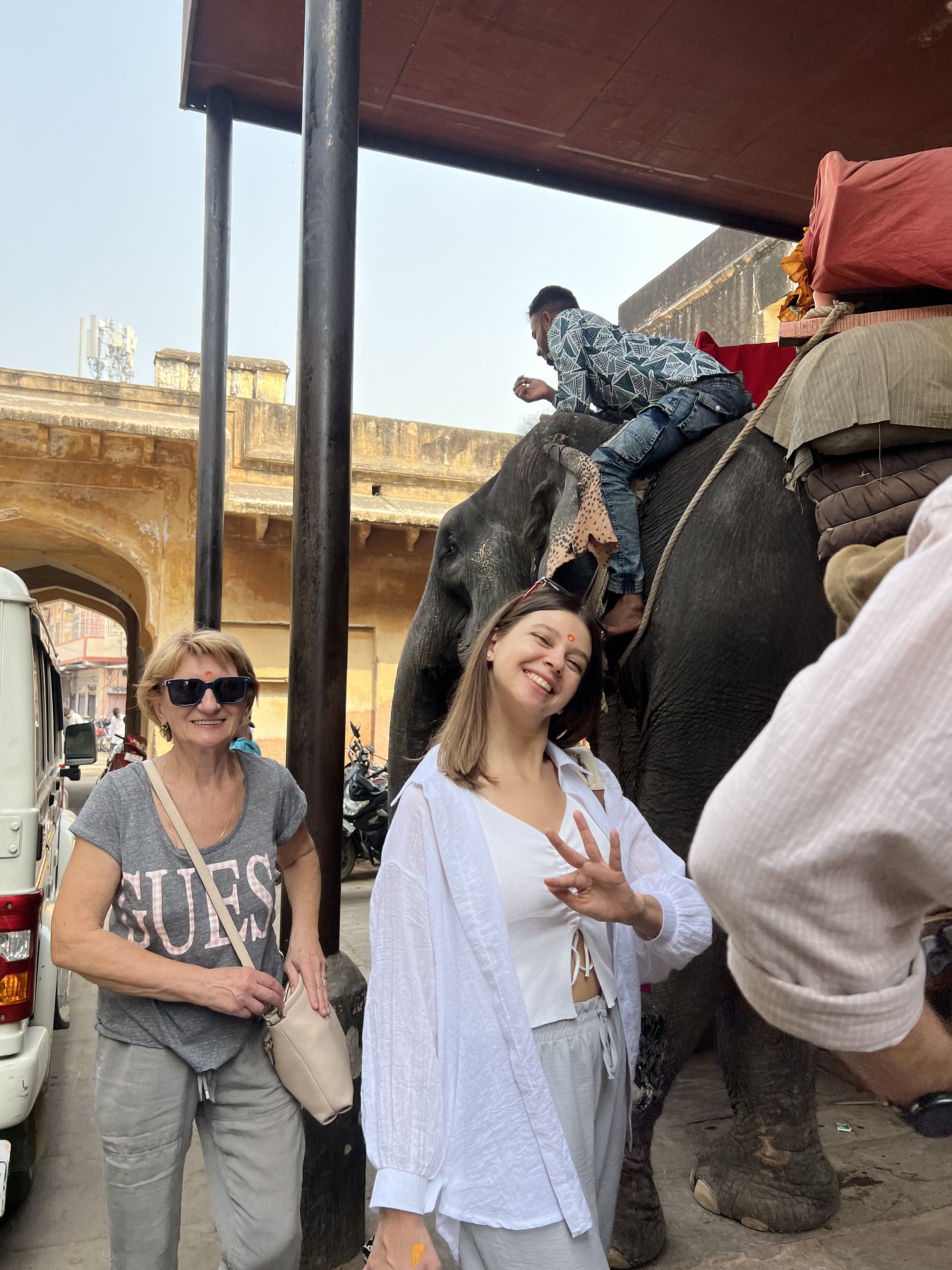 Золотой треугольник Индии + пляжи Гоа (65/143)