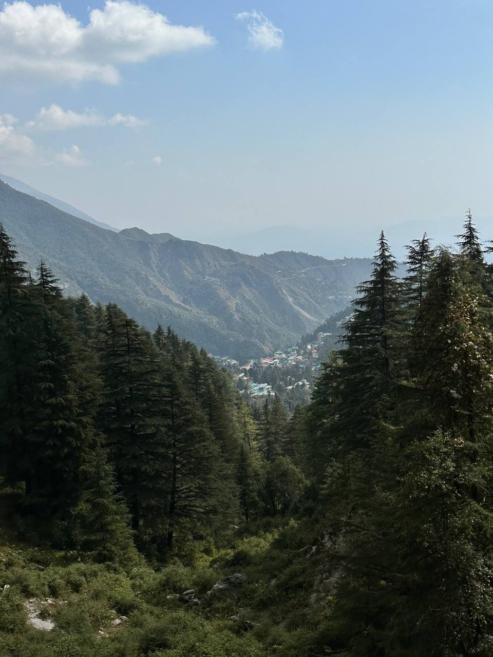 Гималаи. В гостях у Далай-Ламы + места силы Рериха (8/75)