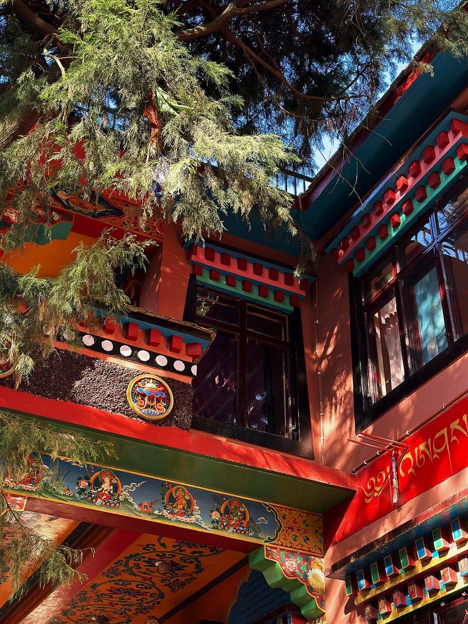 Гималаи. В гостях у Далай-Ламы + места силы Рериха (30/75)