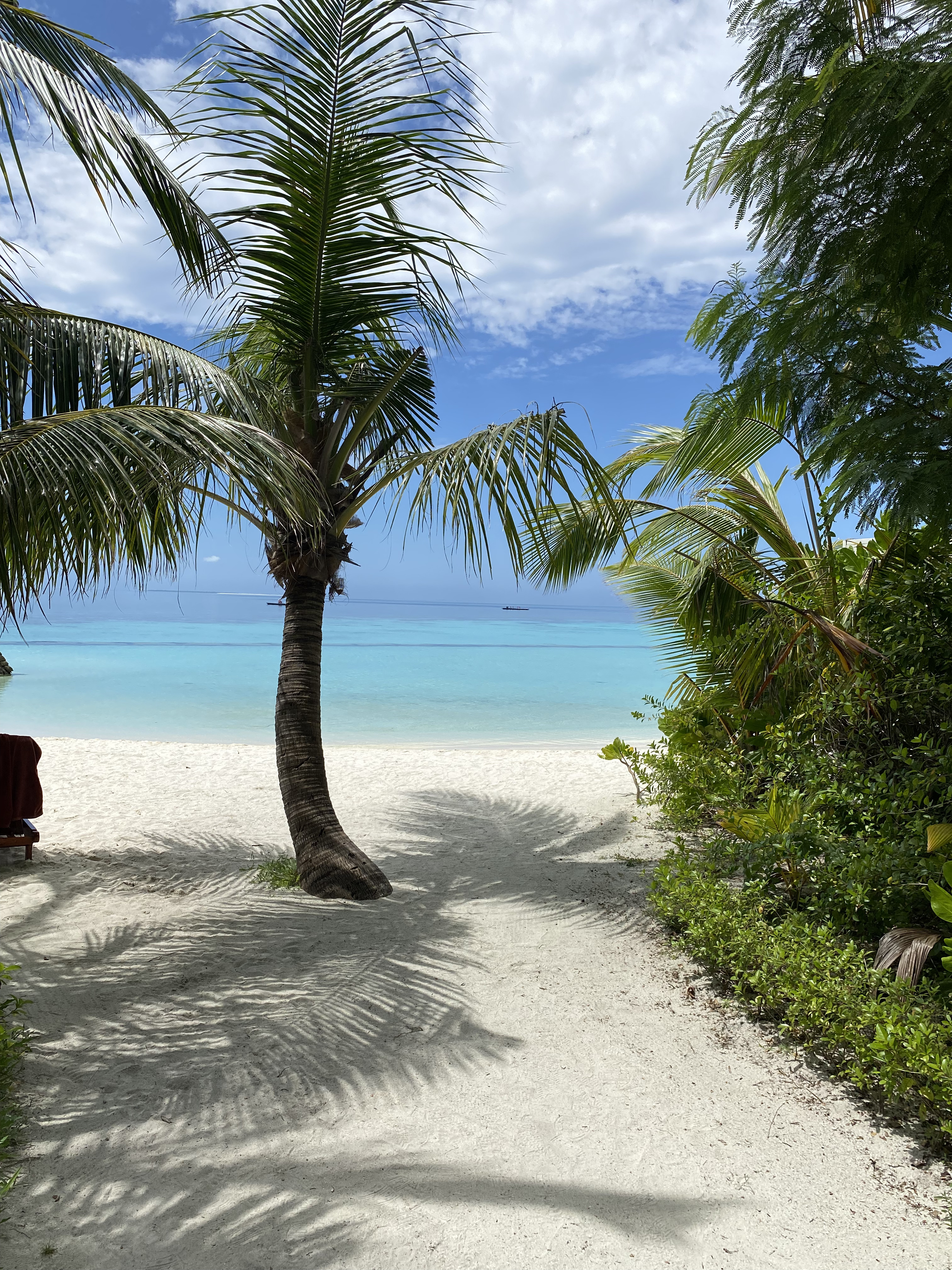 Мальдивы с психологом для обретения душевного равновесия (8/64)