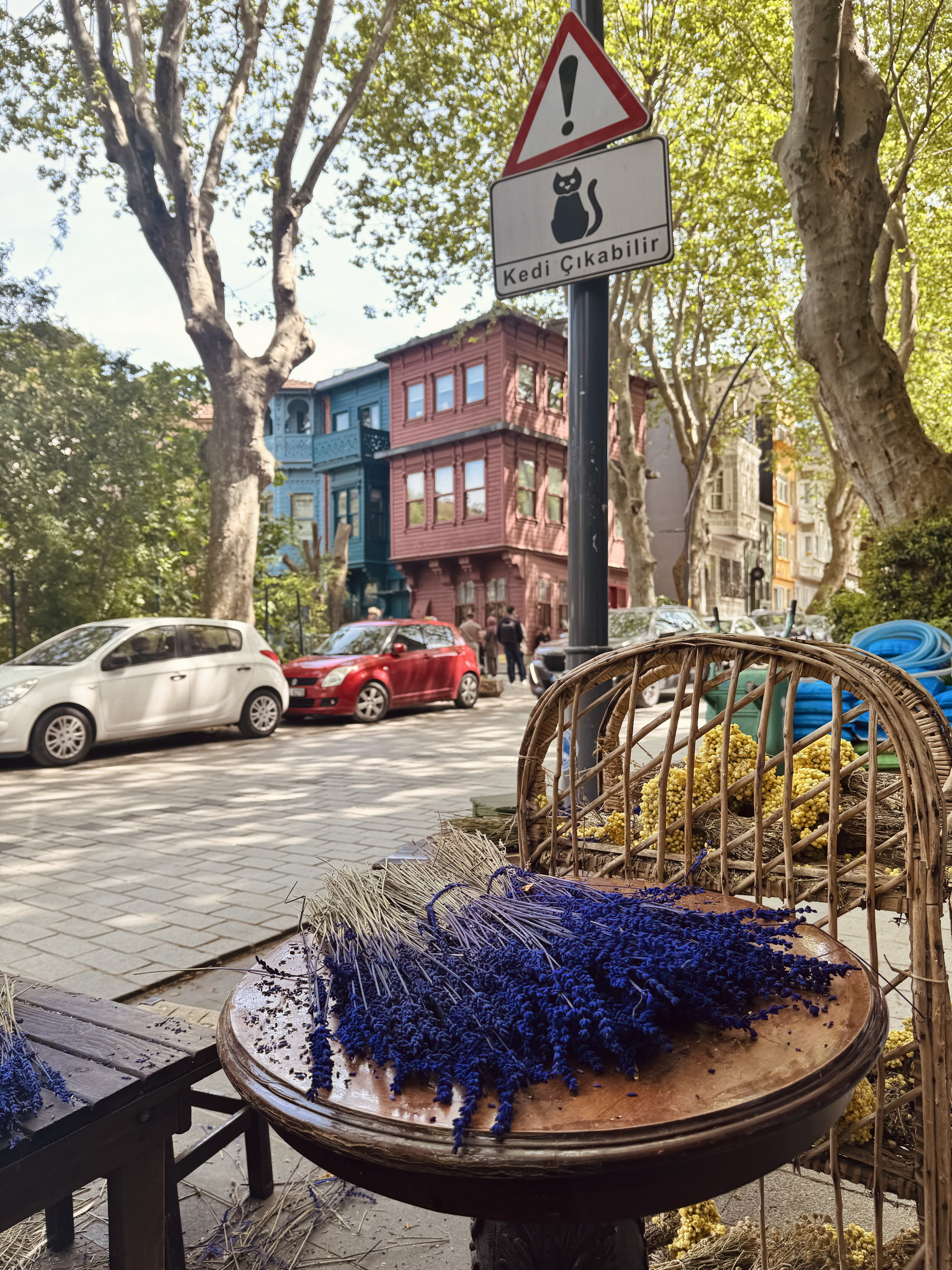 Открываем сокровищницу Турции. Каникулы в Стамбуле+фото (+ даты девичников) (22/37)