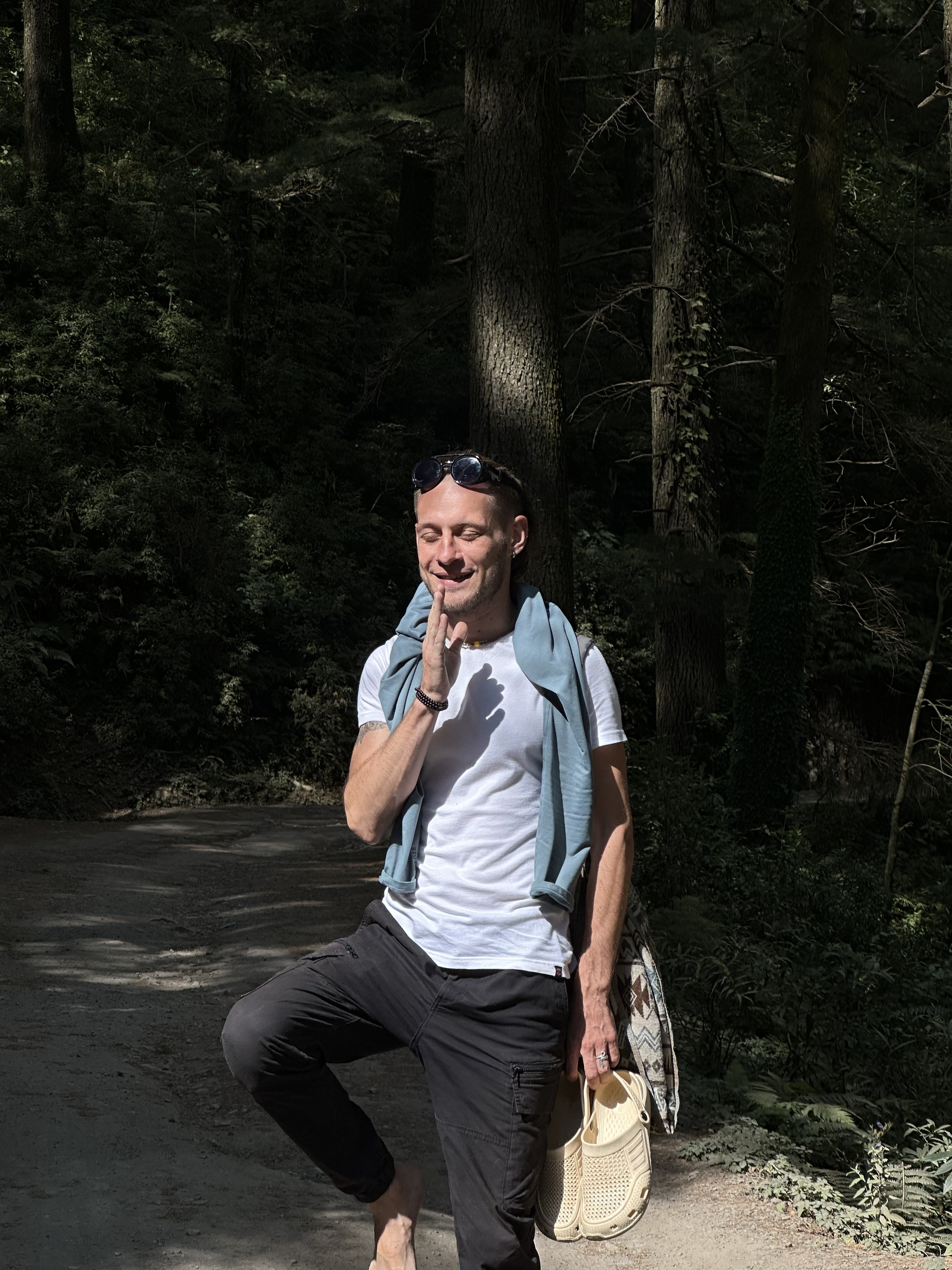 Гималаи. В гостях у Далай-Ламы + места силы Рериха (48/75)