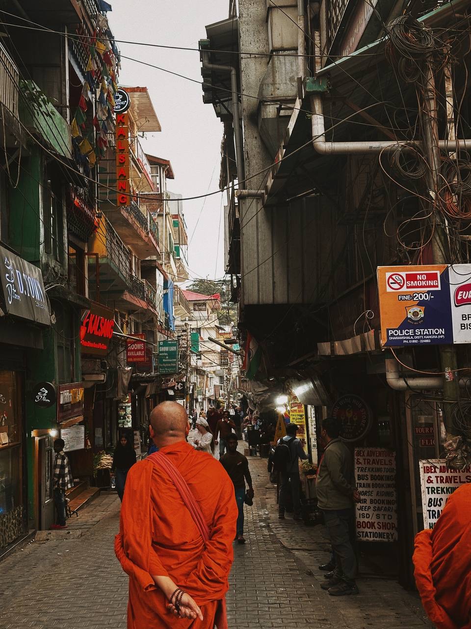 Гималаи. В гостях у Далай-Ламы + места силы Рериха (29/75)