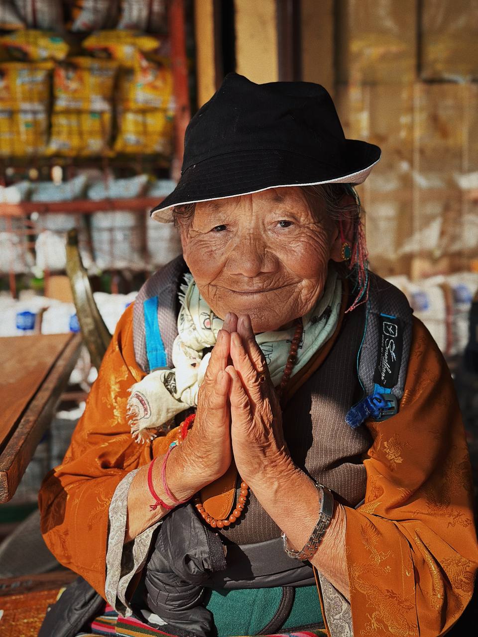 Гималаи. В гостях у Далай-Ламы + места силы Рериха (5/75)