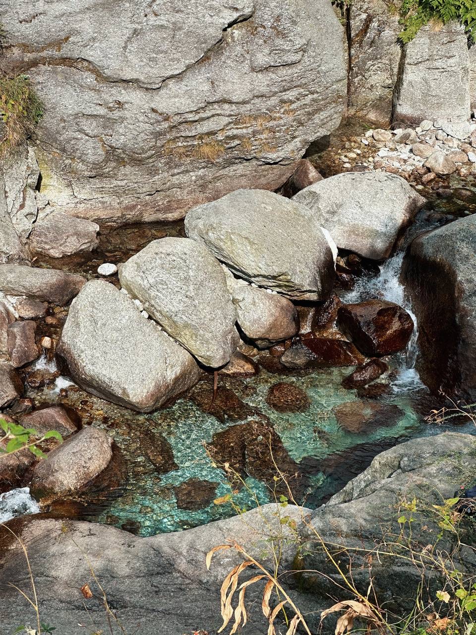 Гималаи. В гостях у Далай-Ламы + места силы Рериха (21/75)