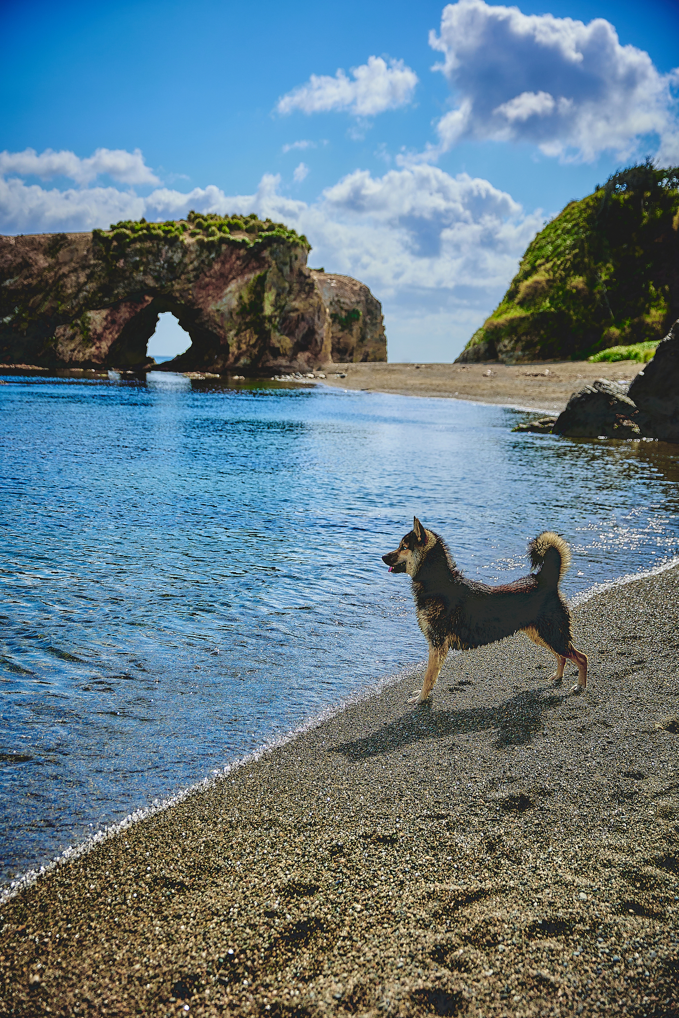 Путешествие по мысам и бухтам Сахалина (11/29)