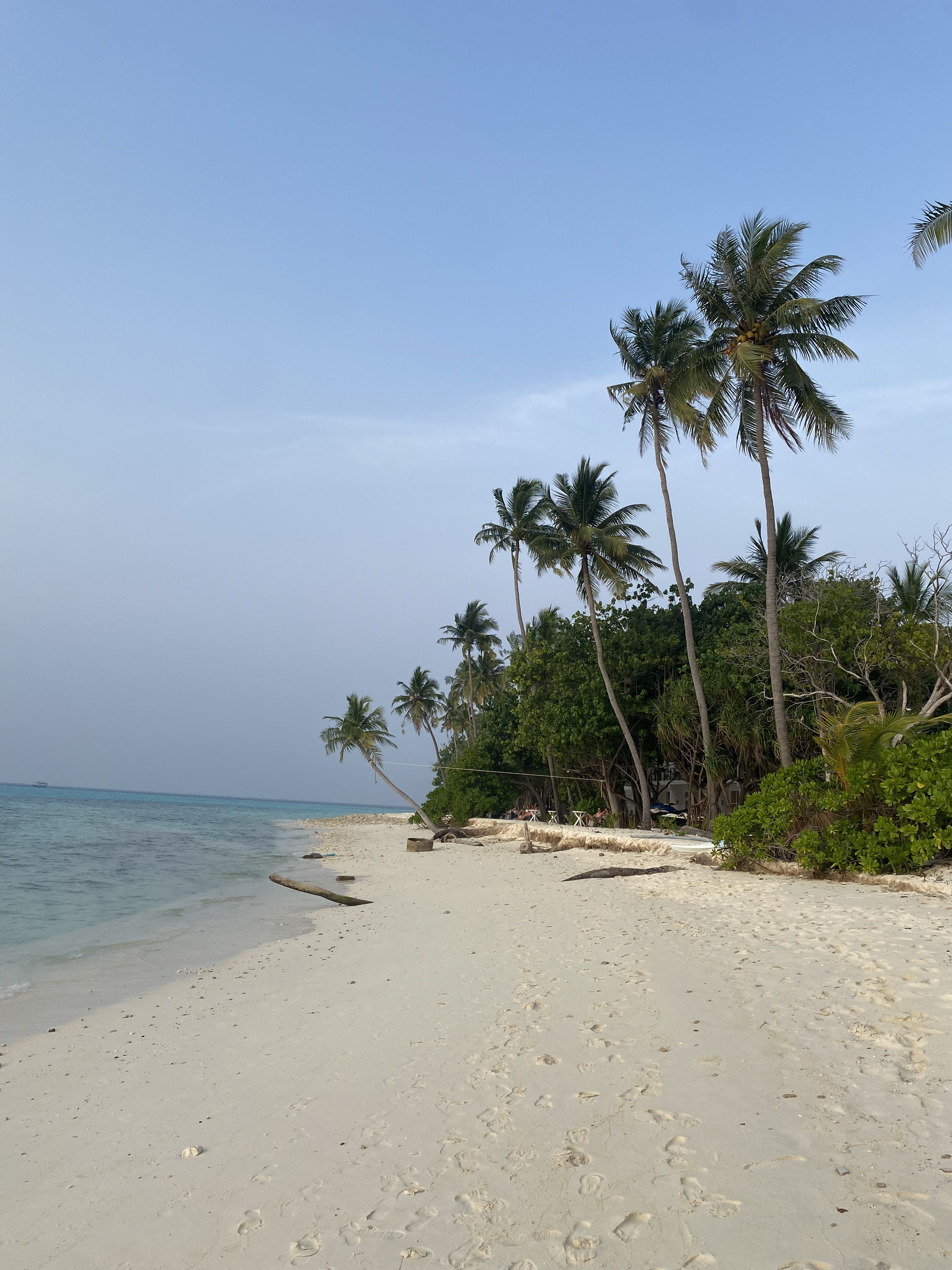 Мальдивы с психологом для обретения душевного равновесия (22/64)