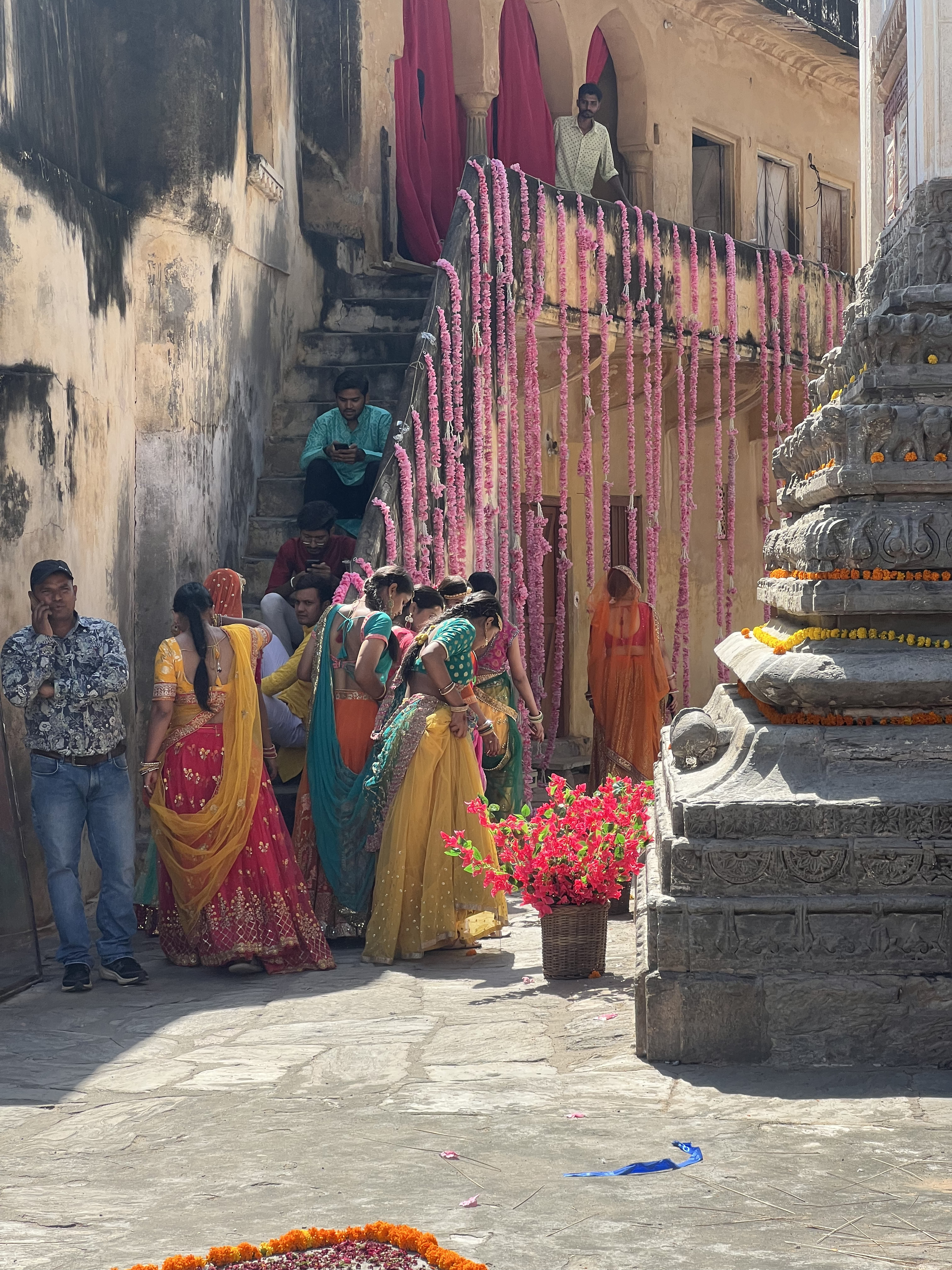 Золотой треугольник Индии + пляжи Гоа (51/143)