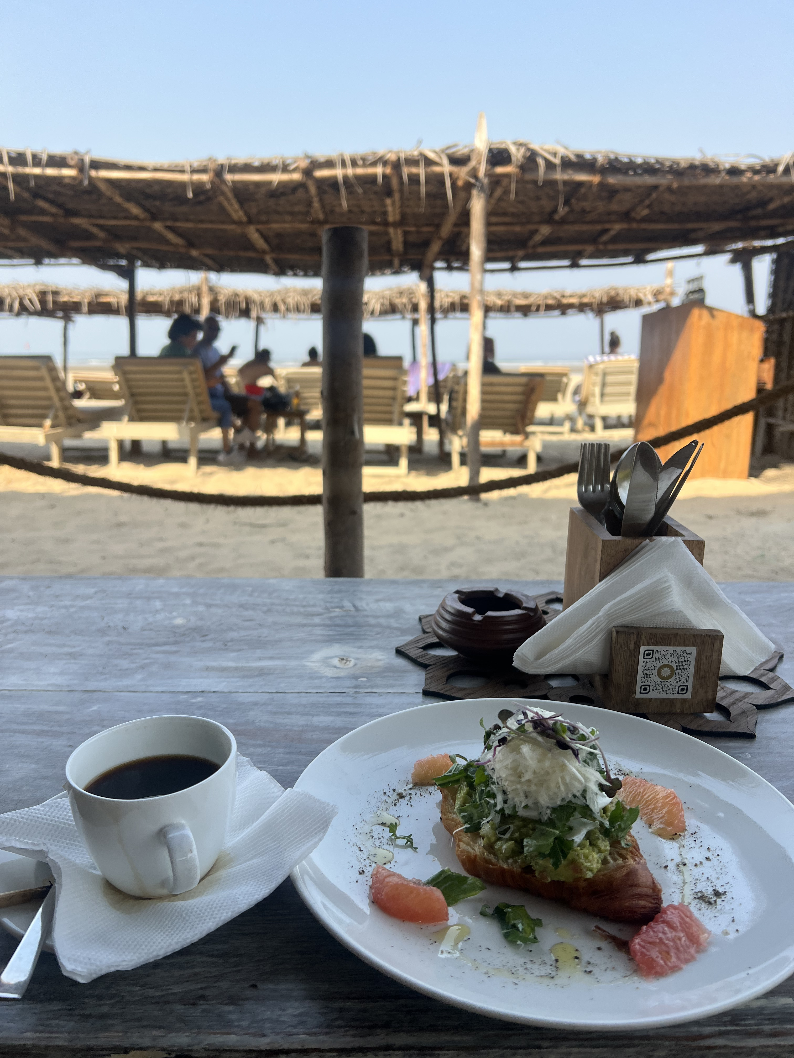 Золотой треугольник Индии + пляжи Гоа (28/143)