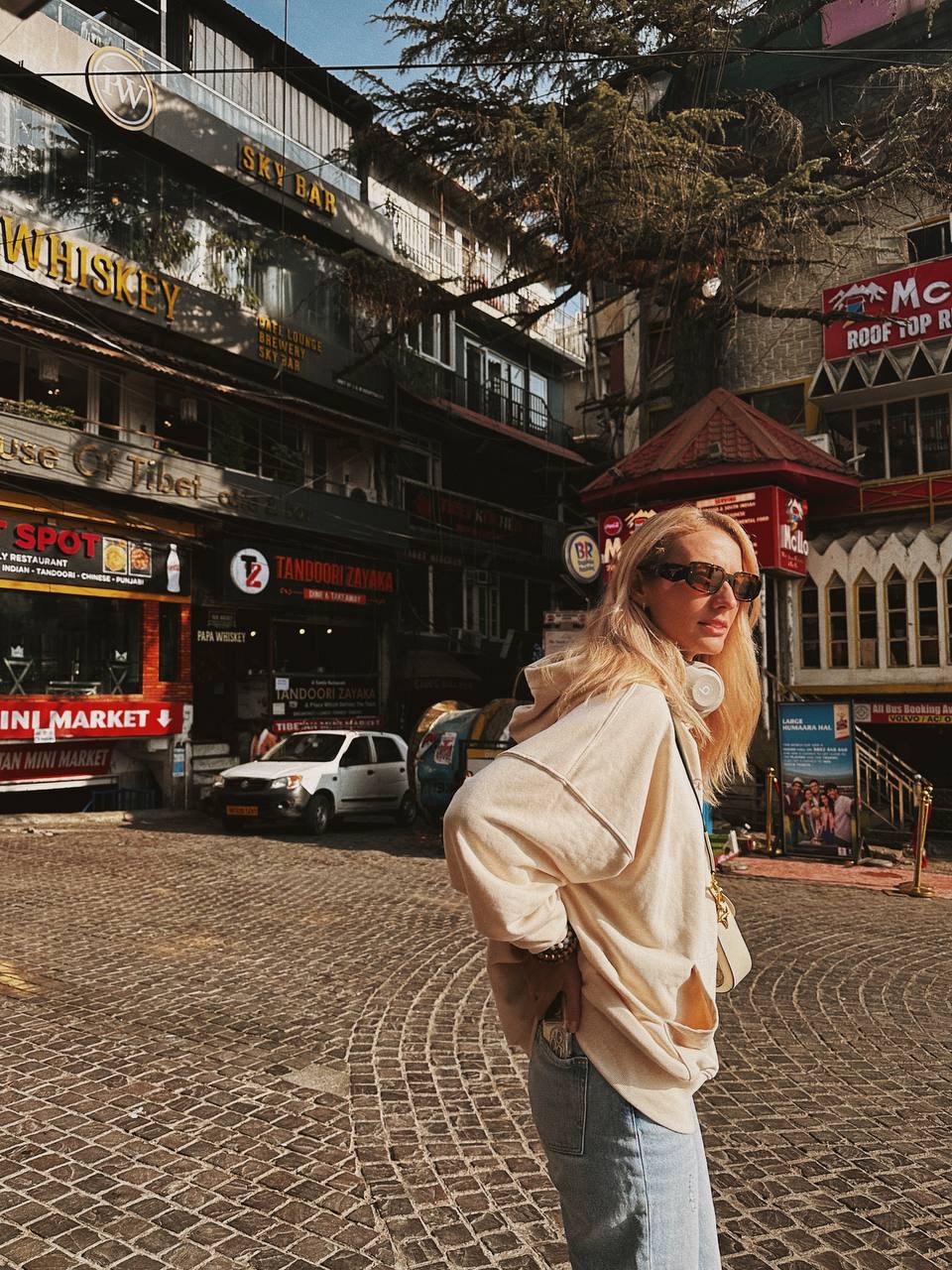 Гималаи. В гостях у Далай-Ламы + места силы Рериха (28/75)