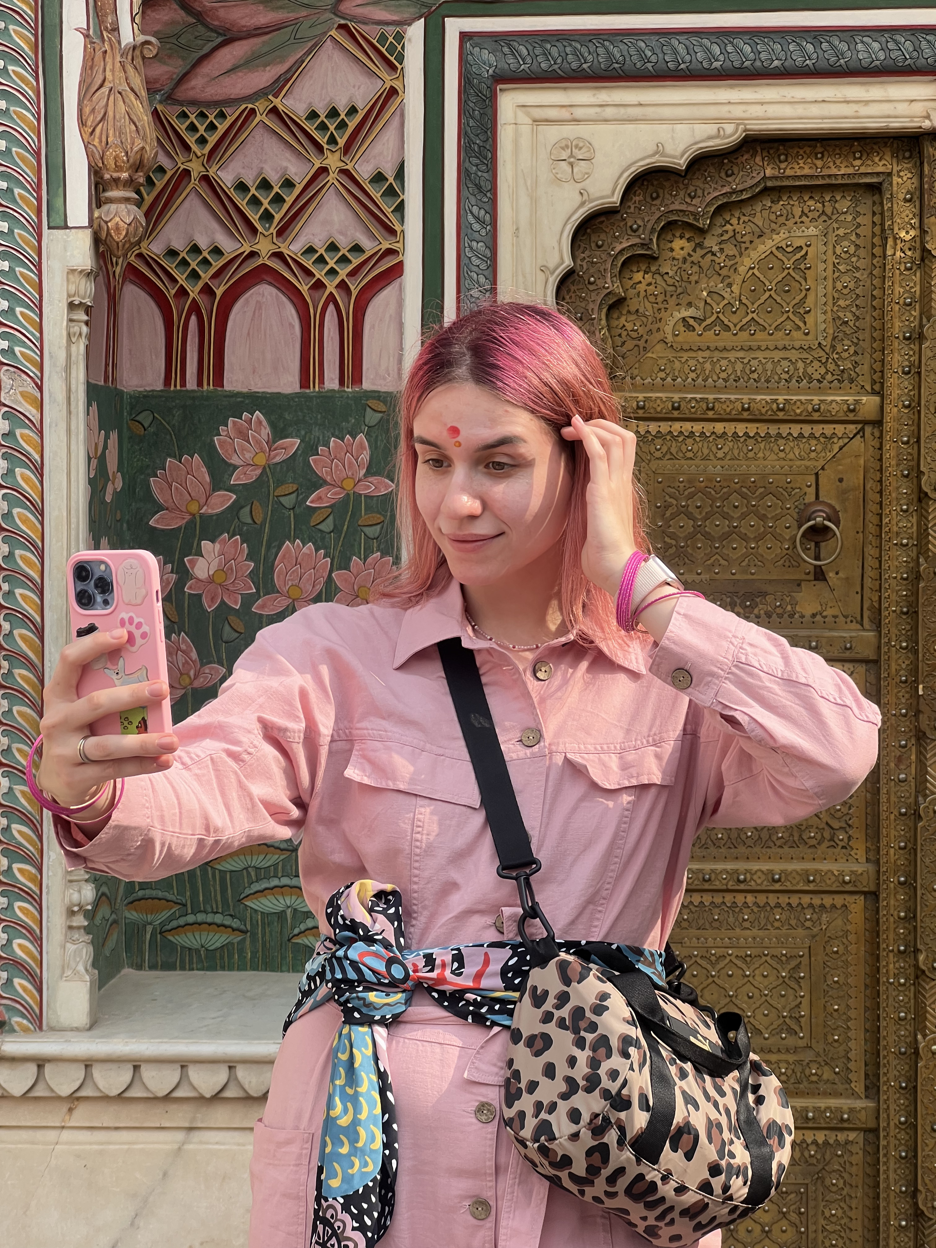 Золотой треугольник Индии + пляжи Гоа (95/143)