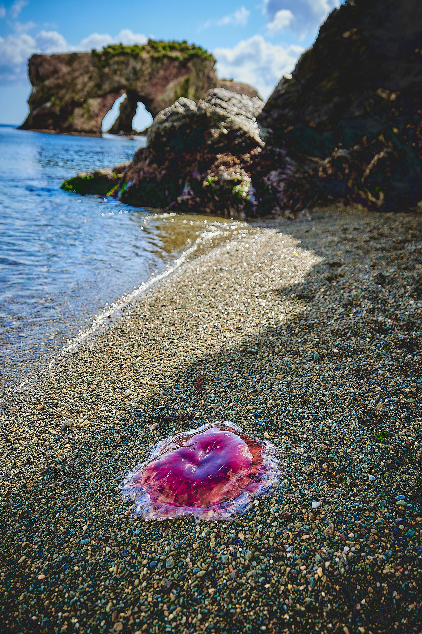 Путешествие по мысам и бухтам Сахалина (12/29)