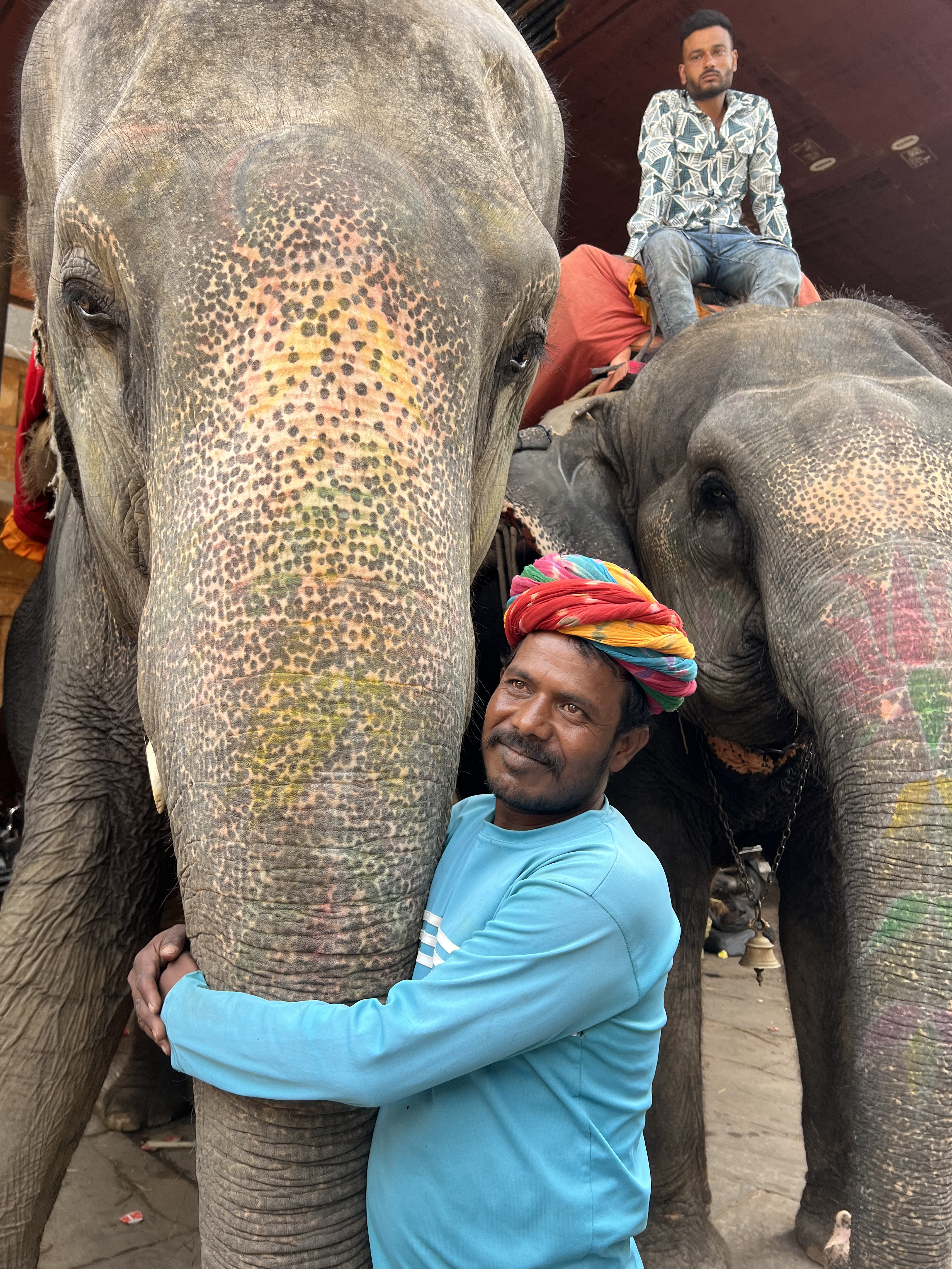 Золотой треугольник Индии + пляжи Гоа (71/143)