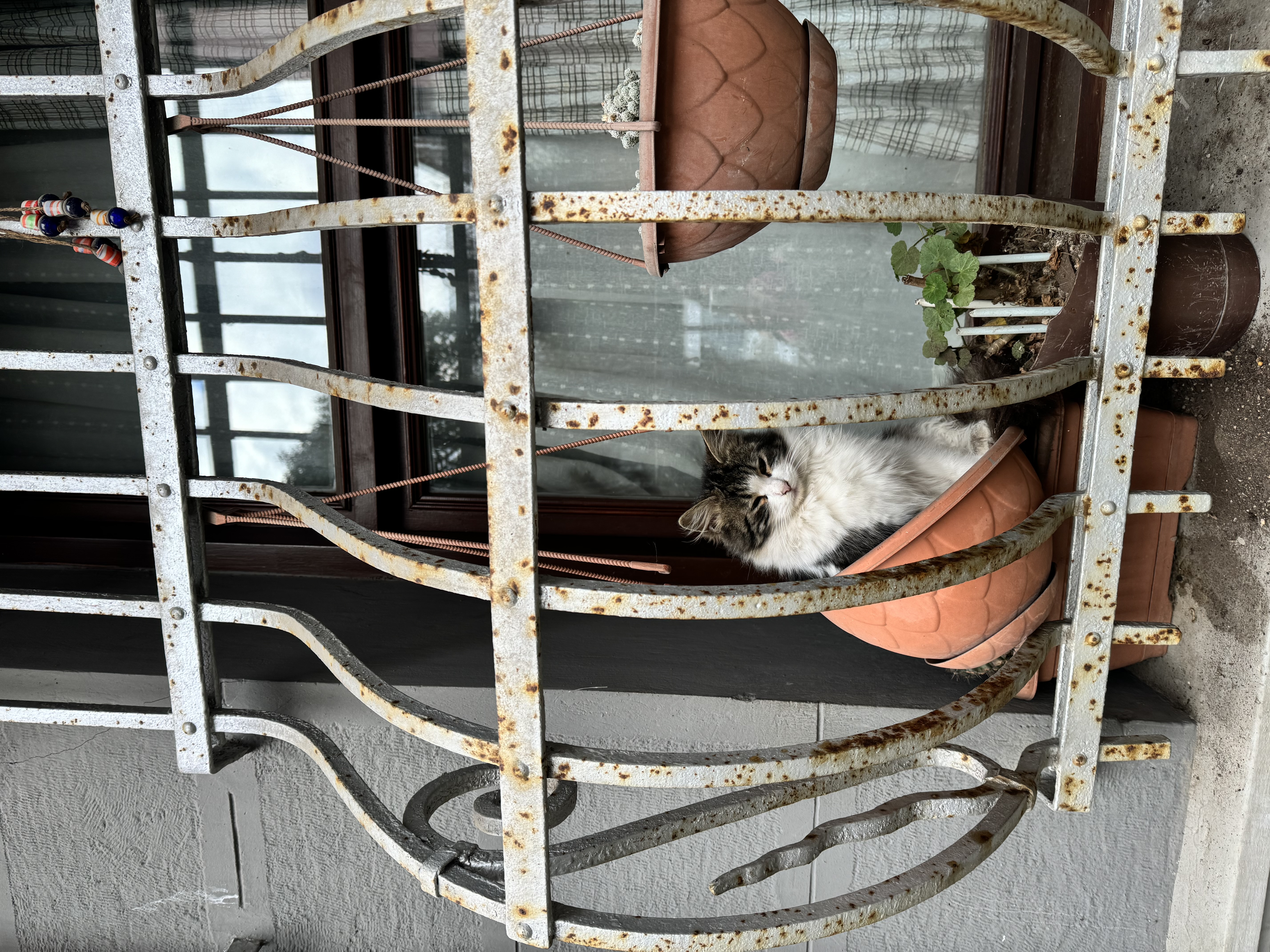 Открываем сокровищницу Турции. Каникулы в Стамбуле+фото (+ даты девичников) (20/37)