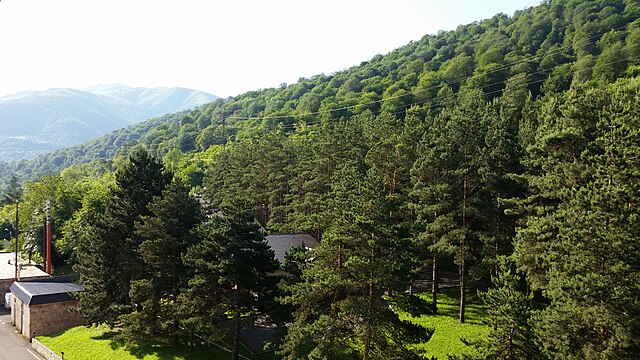 Все Краски Сарьяна В Одном Туре (5/9)