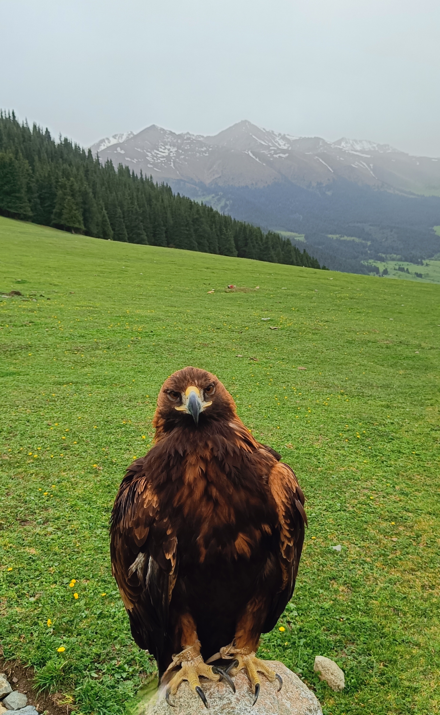 Майская сказка по красотам Кыргызстана (9/28)