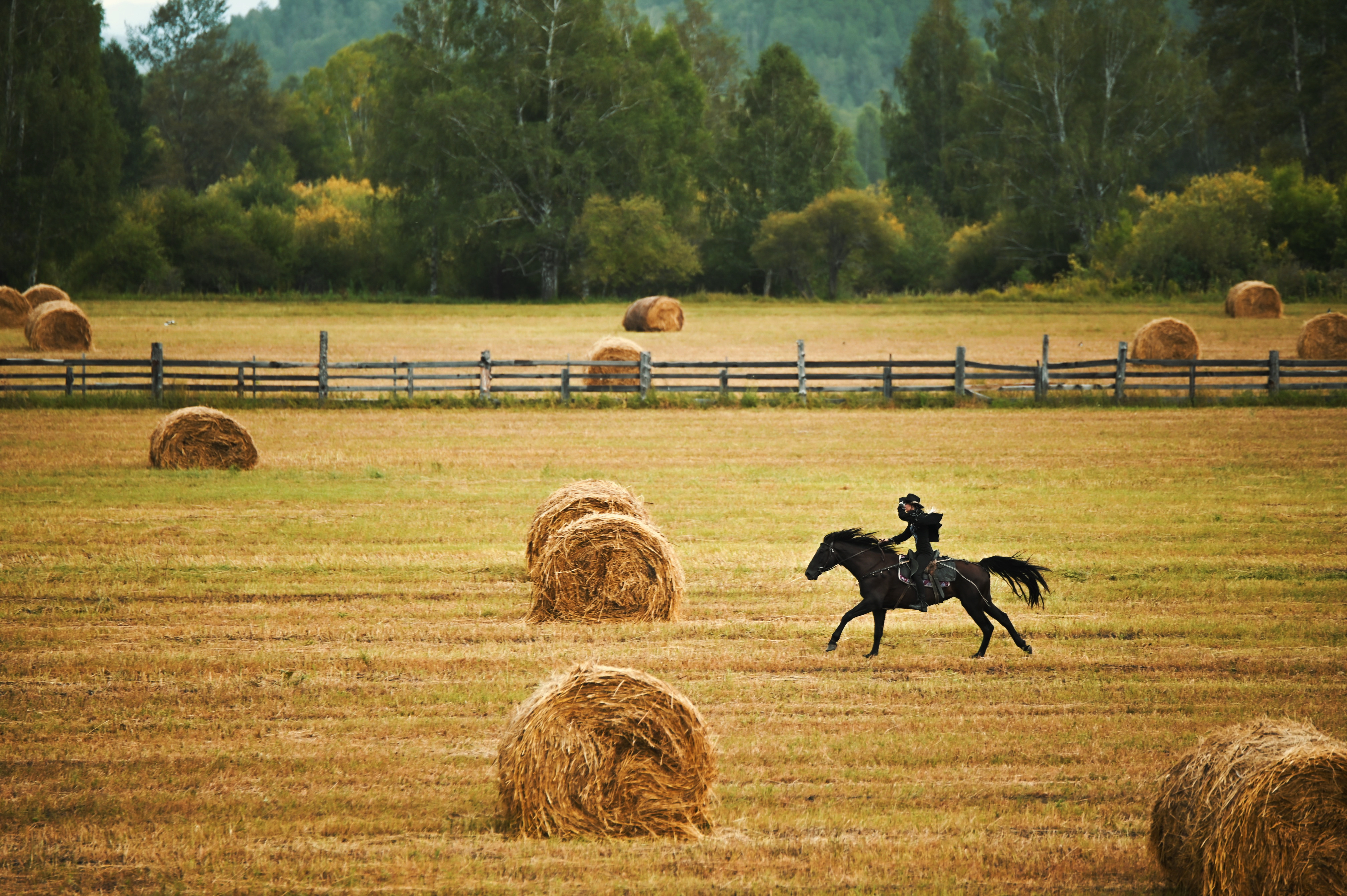 Конный фототур для уверенных всадников