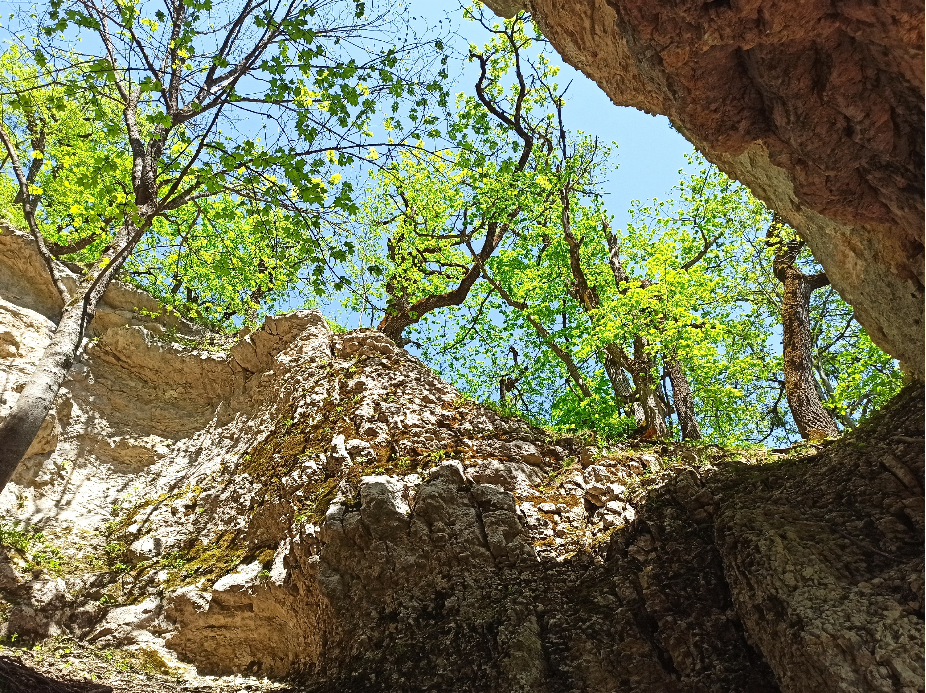 Адыгея на ладошке (7 дней) (27/31)