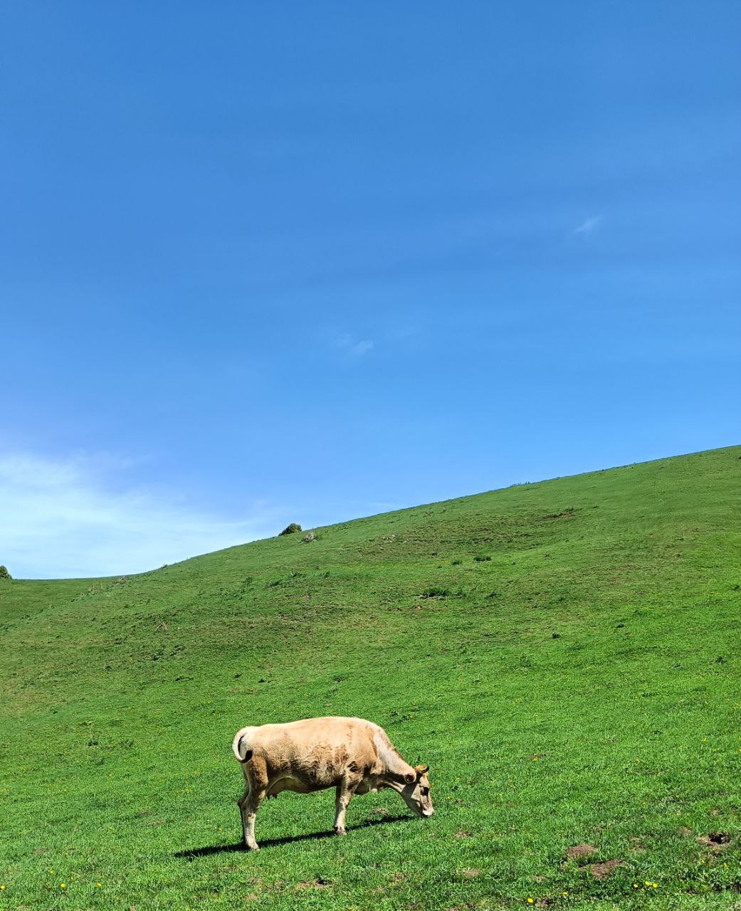 Майская сказка по красотам Кыргызстана (8/28)