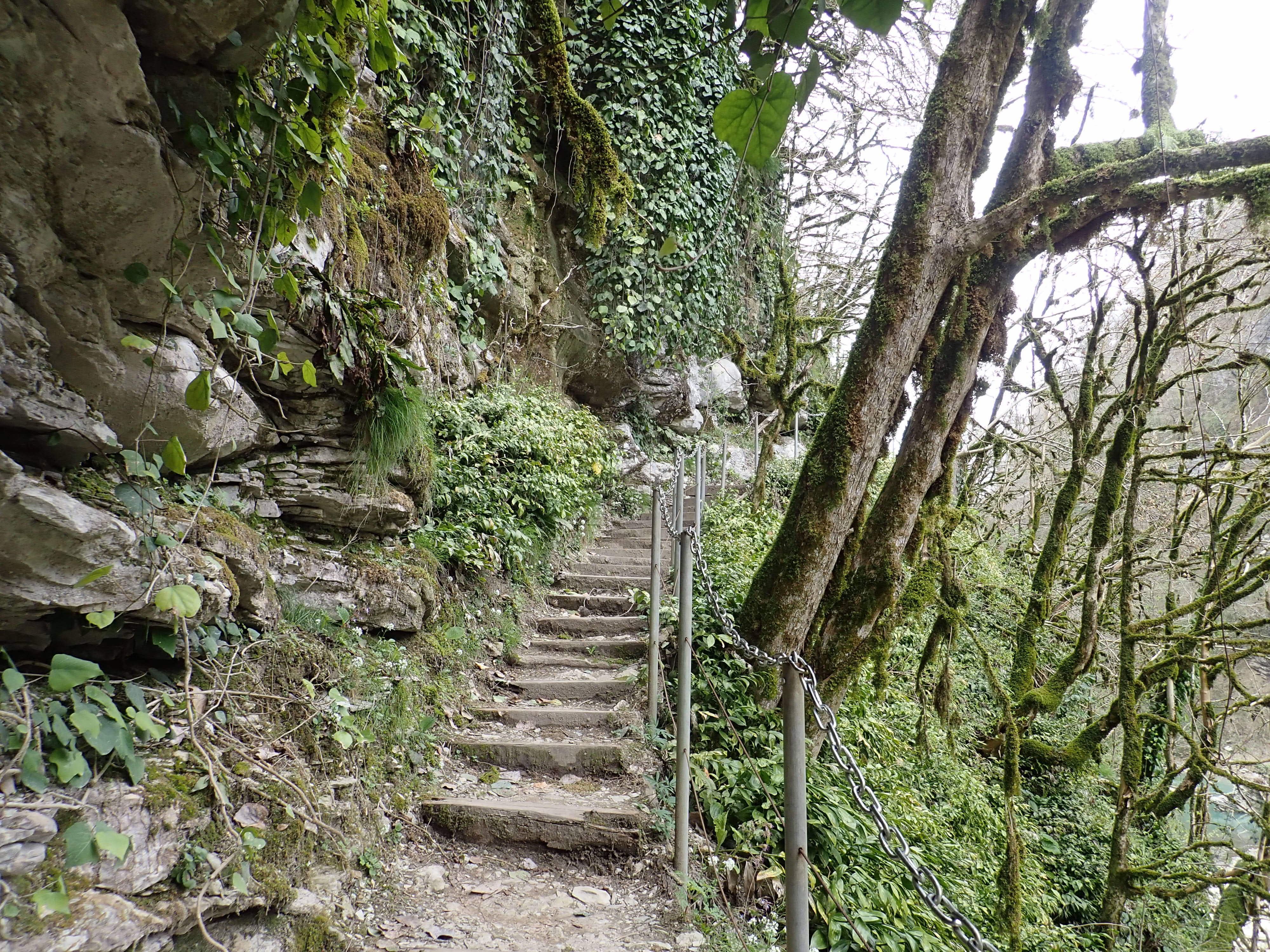 Сочинский эксклюзив (7 дней) (17/23)