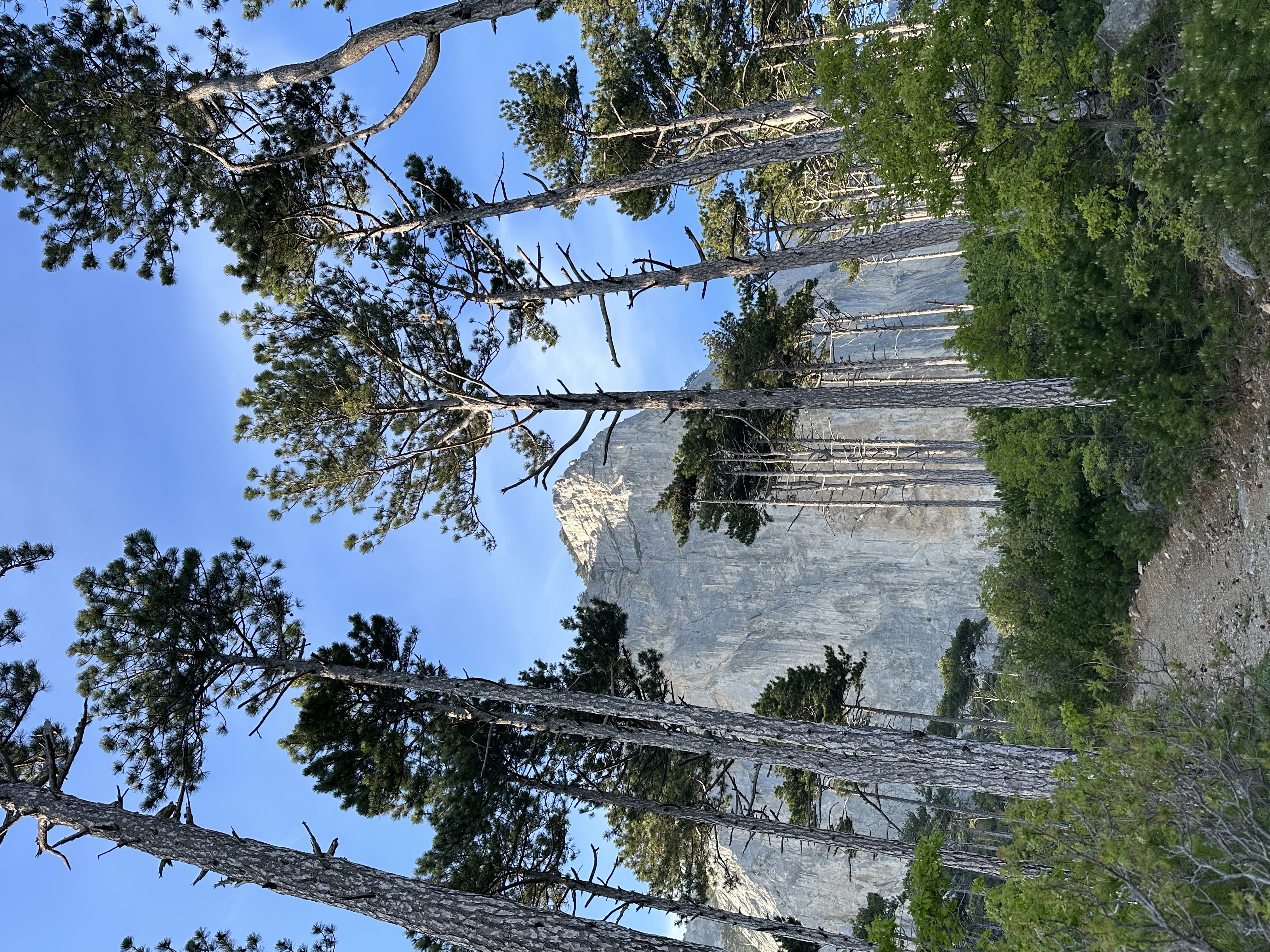 Йога трекинг тур по местам силы Крыма (25/57)