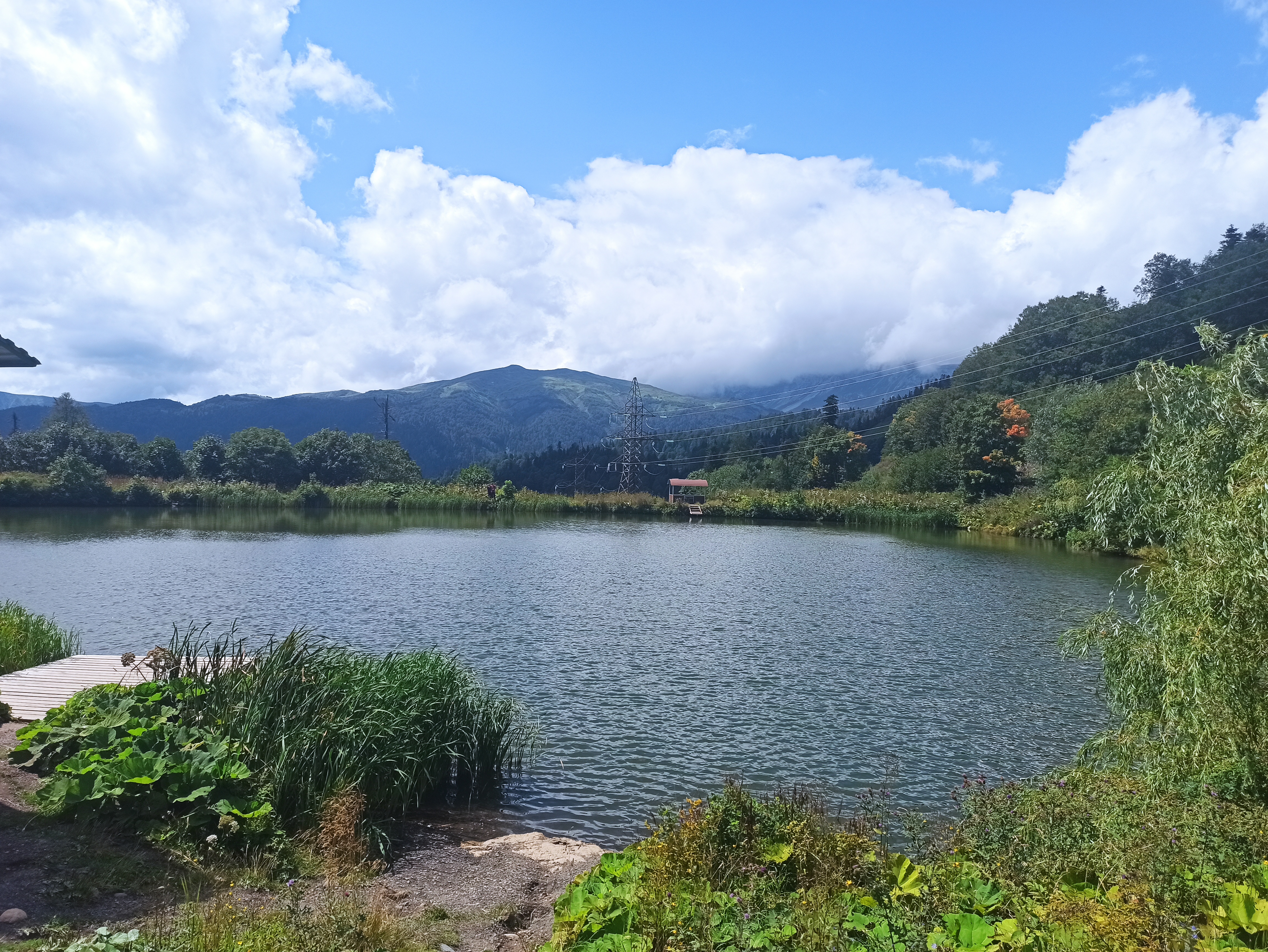 Адыгея на ладошке (7 дней) (20/31)