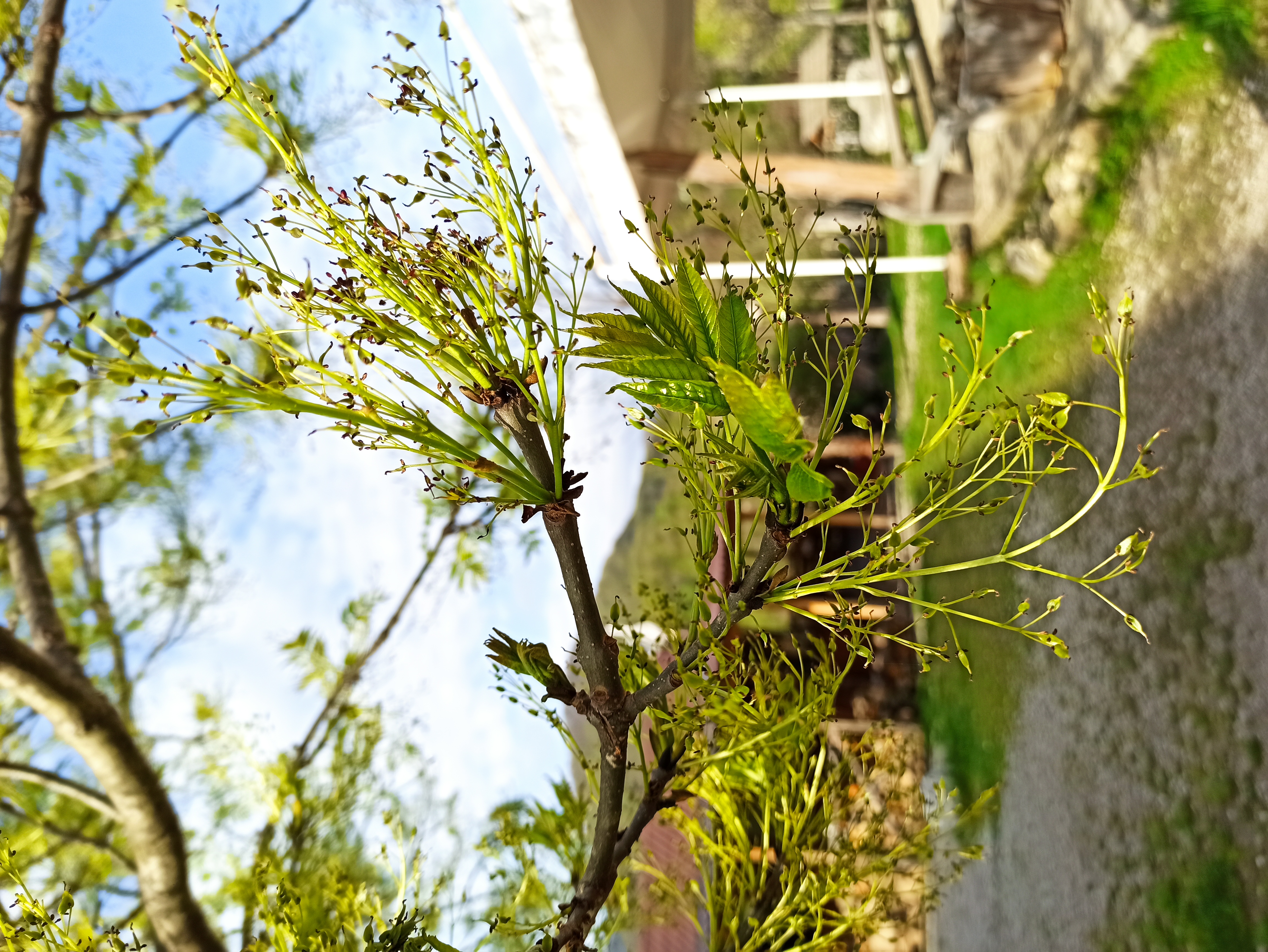 Сочинский эксклюзив (7 дней) (16/23)