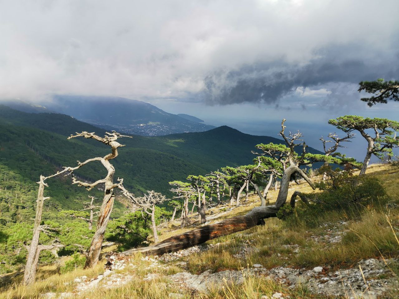 Йога трекинг тур по местам силы Крыма (23/57)