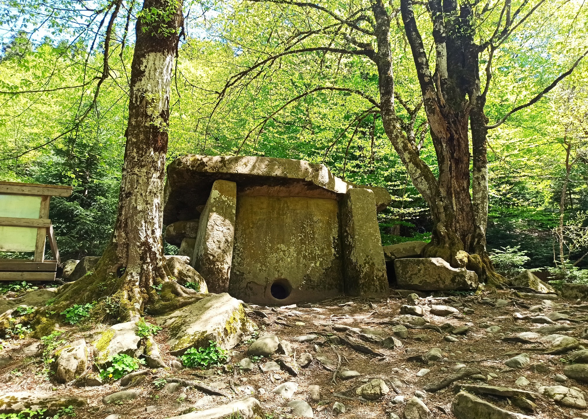 Адыгея на ладошке (7 дней) (22/31)