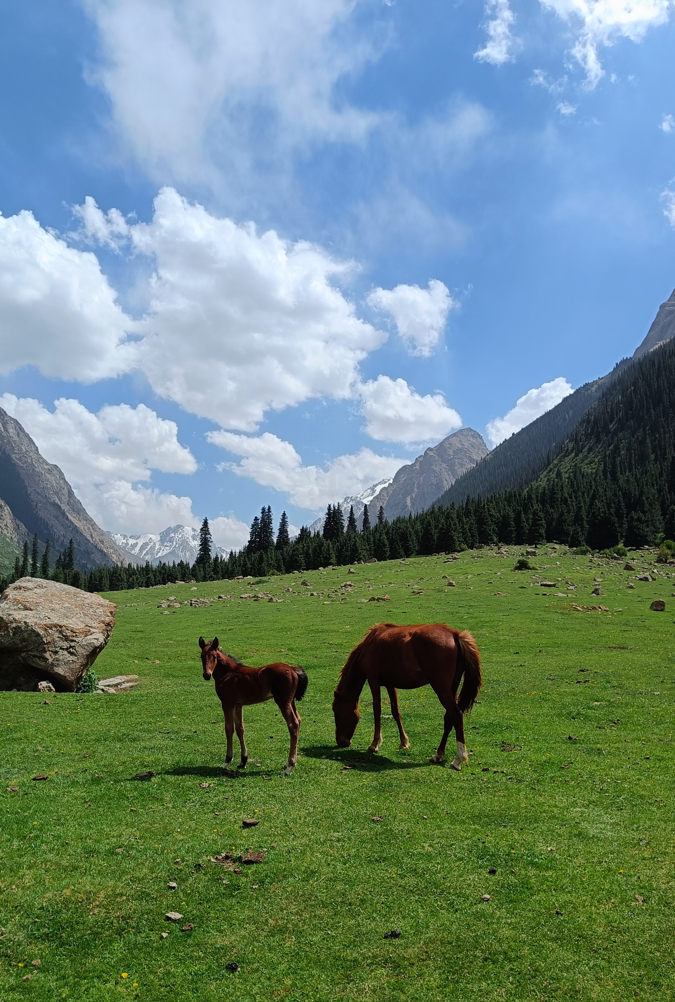 Майская сказка по красотам Кыргызстана (12/28)