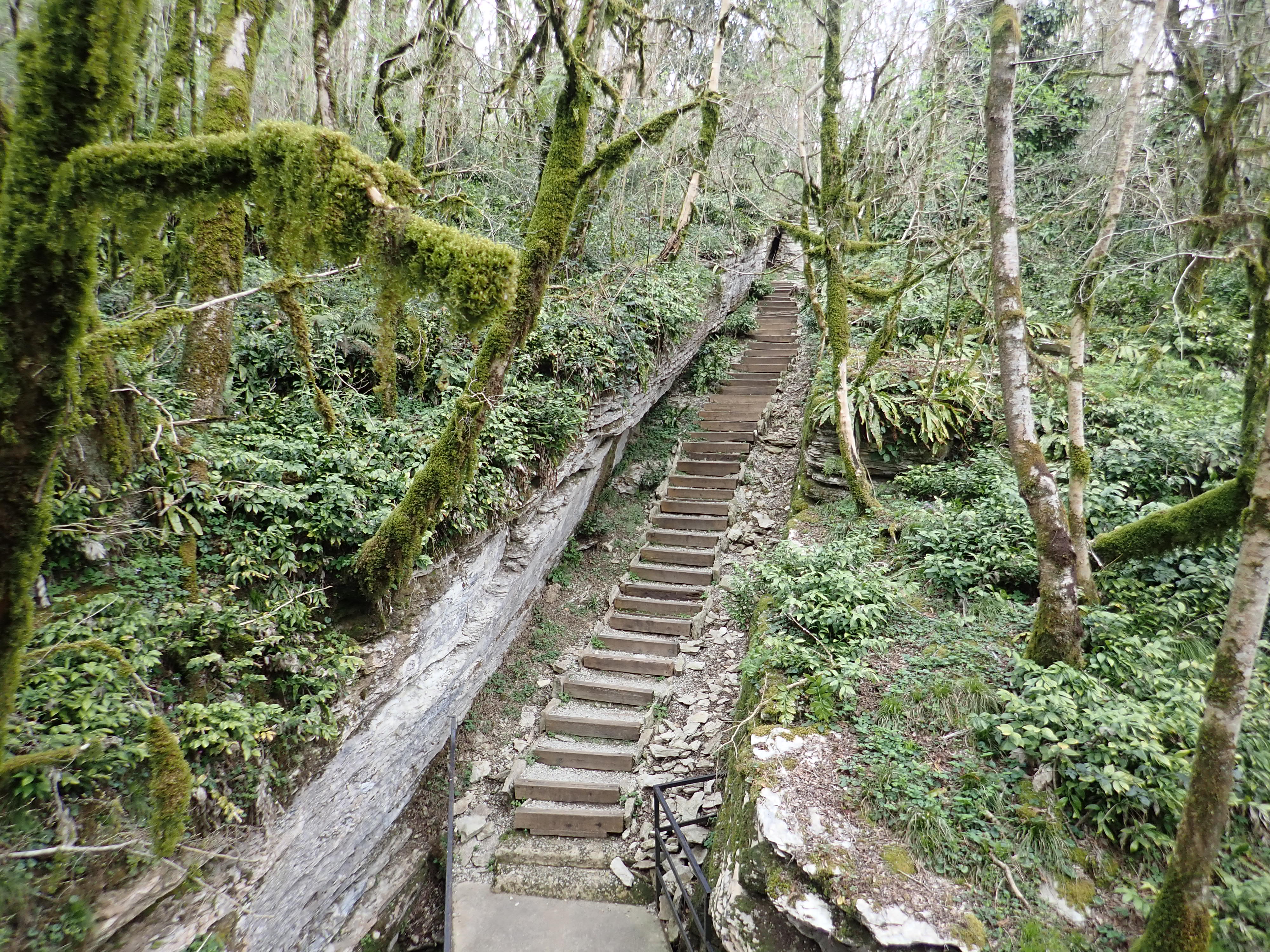 Сочинский эксклюзив (7 дней) (18/23)