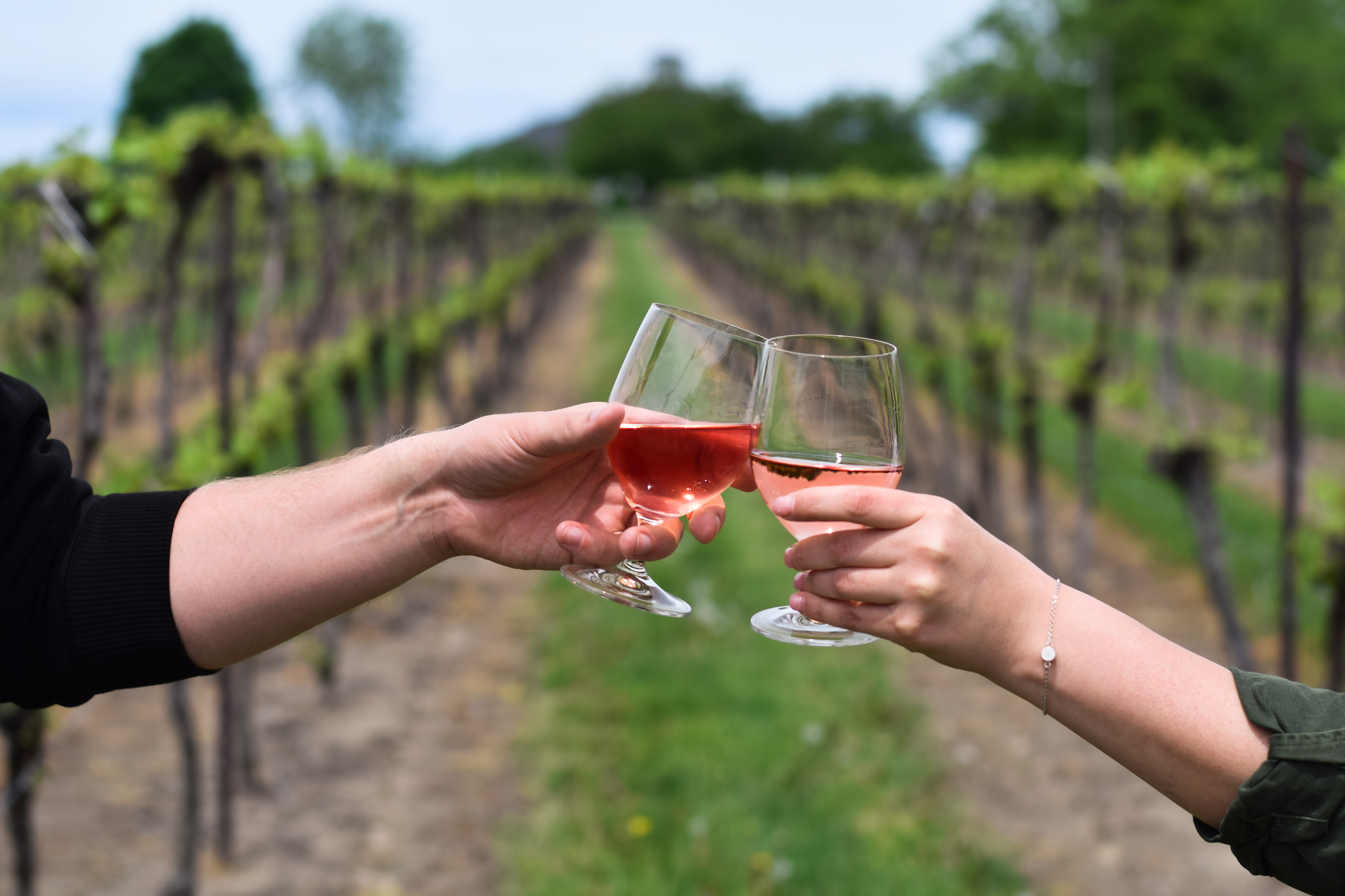 2-дневный тур Вкус Армении: от вин к святыням - все включено (11/14)