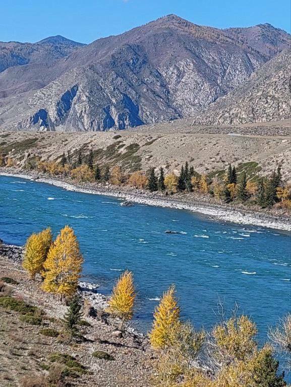 Авторский тур Сила Алтая (7/13)