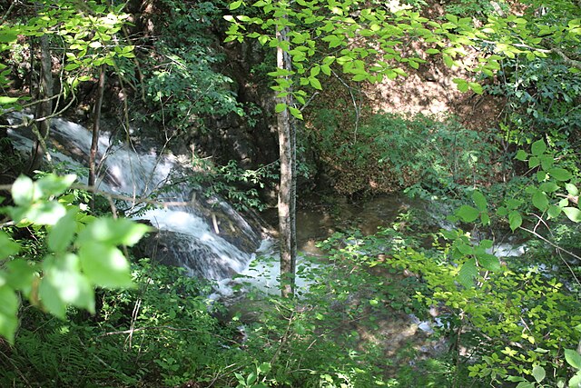 Все Краски Сарьяна В Одном Туре (9/9)