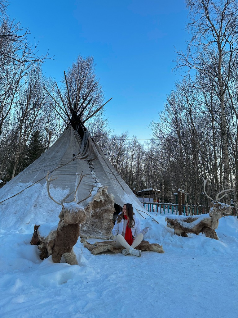 Северное сияние + Териберка. Комфорт тур до 6 чел. Киты, тундра, хаски и олени (9/20)