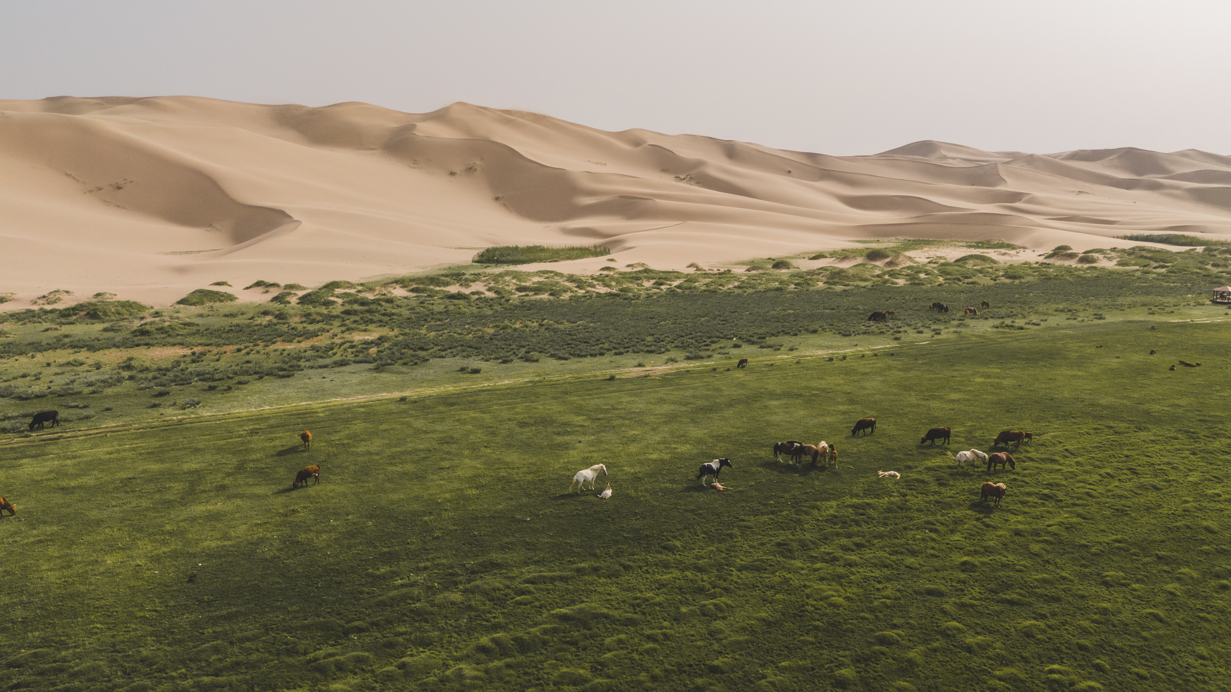 Modern Nomads - к золотым пескам Гоби (28/59)