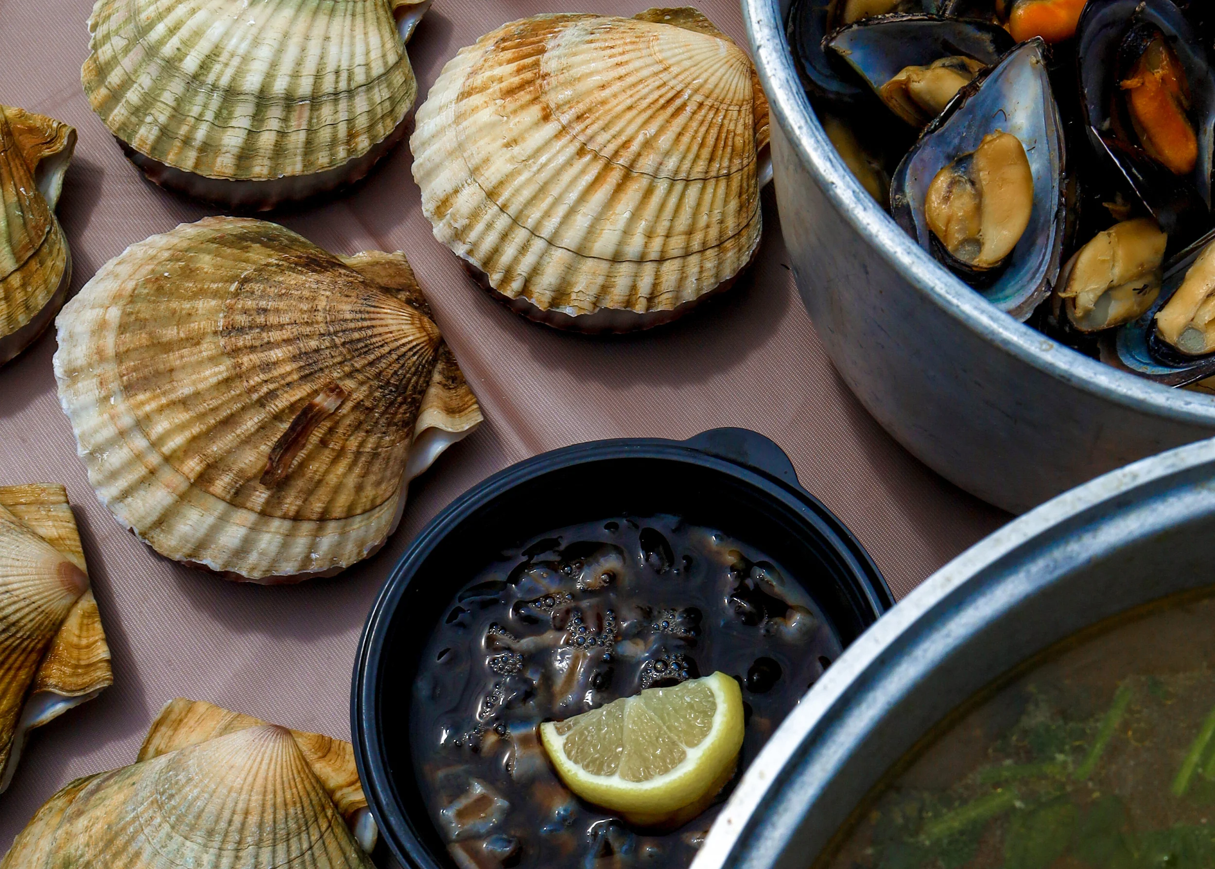 Гастротур на острове Шкота и морские котики (2/9)