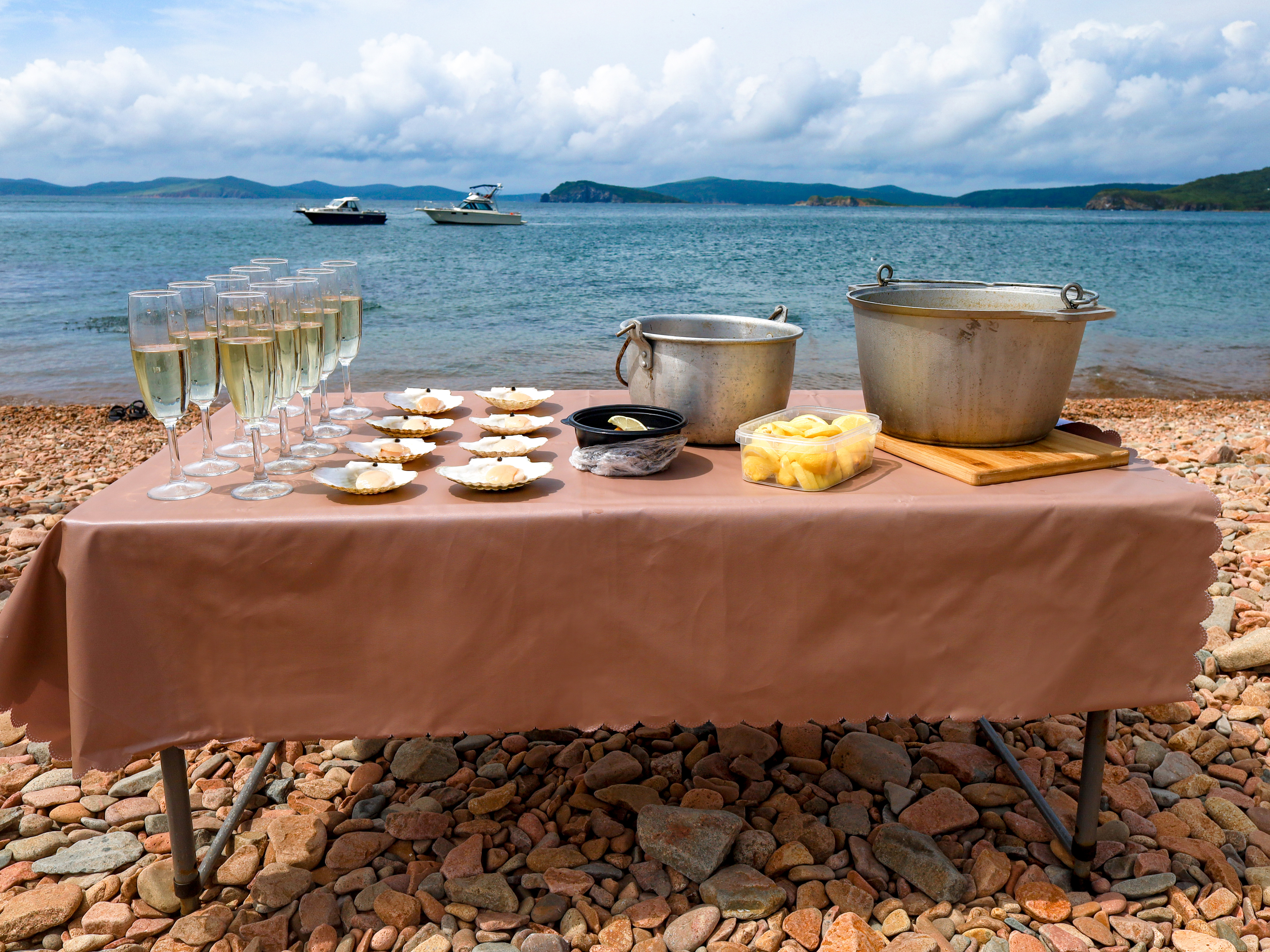 Гастротур на острове Шкота и морские котики