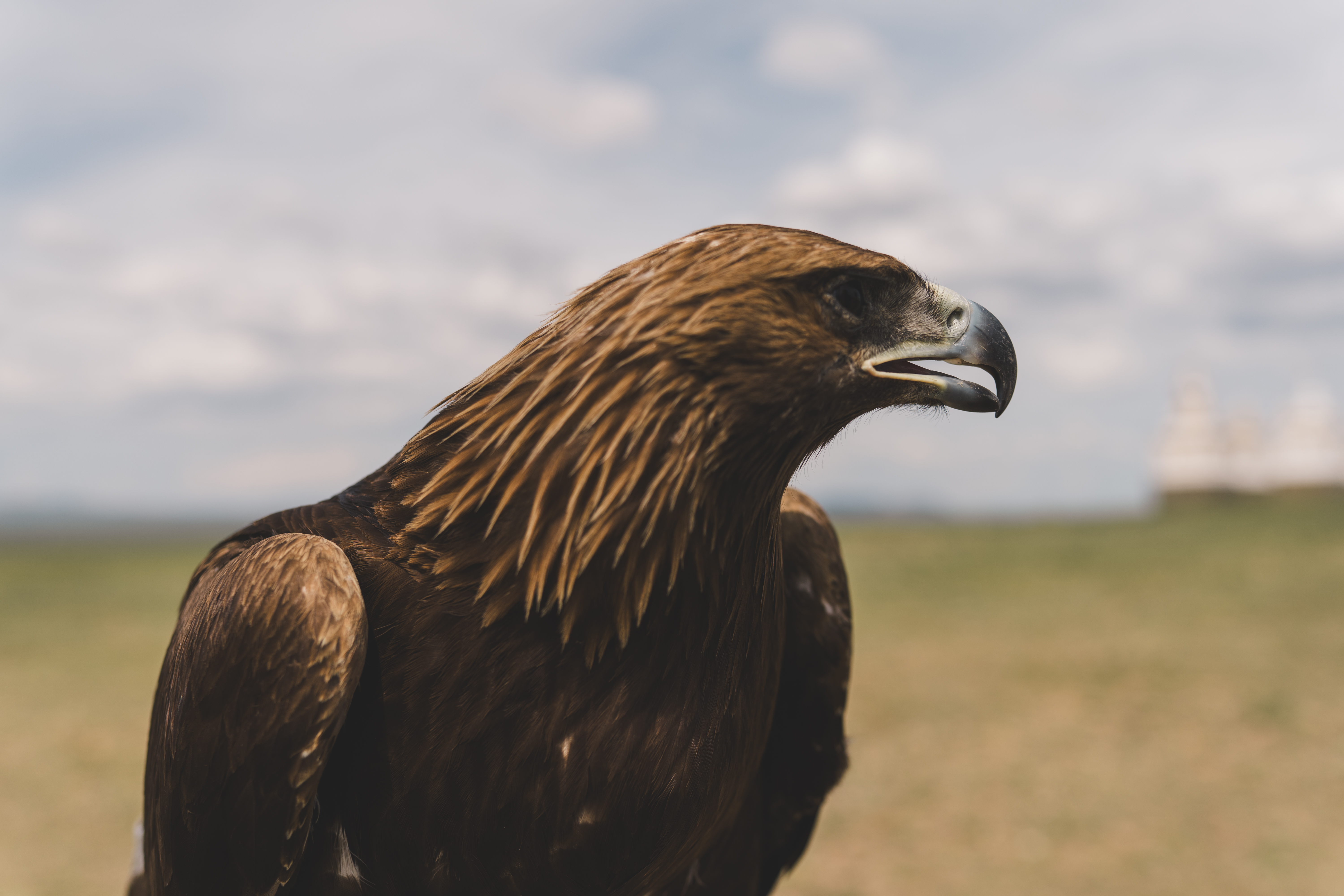 Modern Nomads - к золотым пескам Гоби (33/59)