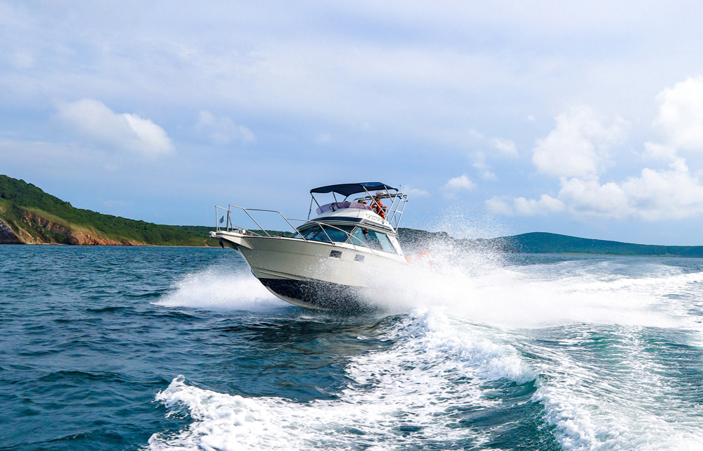 Гастротур на острове Шкота и морские котики (8/9)